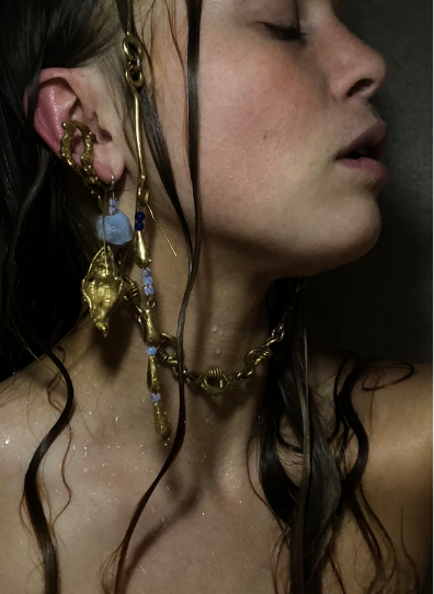 Venus shell earring