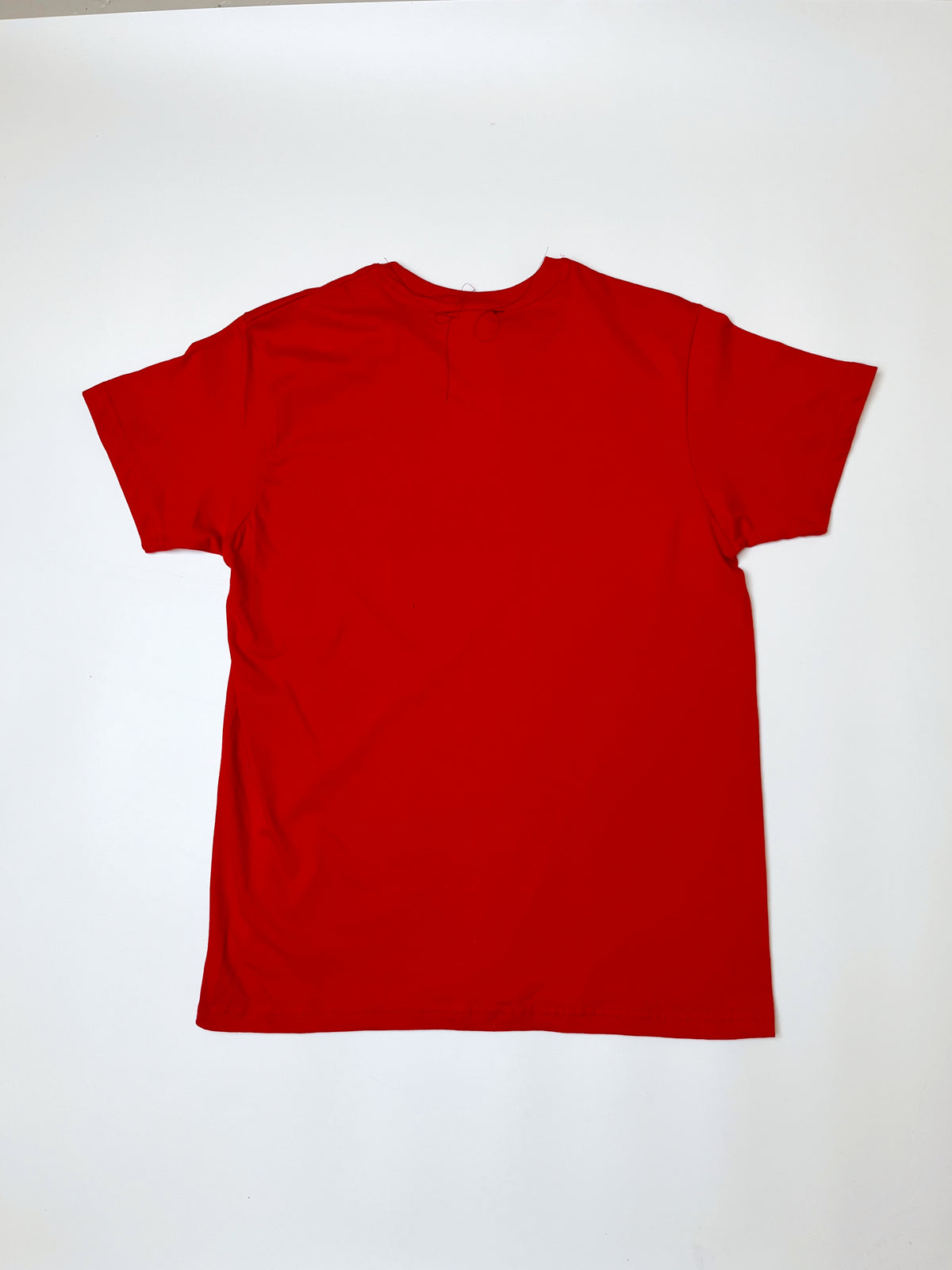 Parasit t-shirt