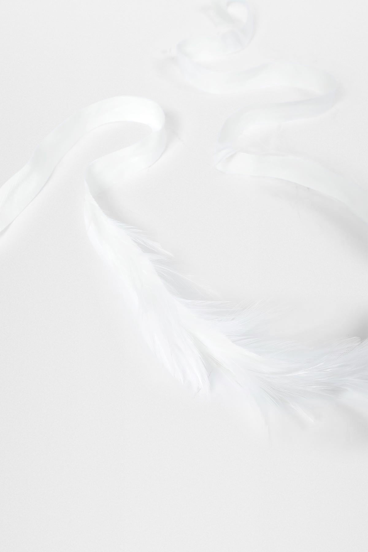 Zena cock feathers on cotton ribbon