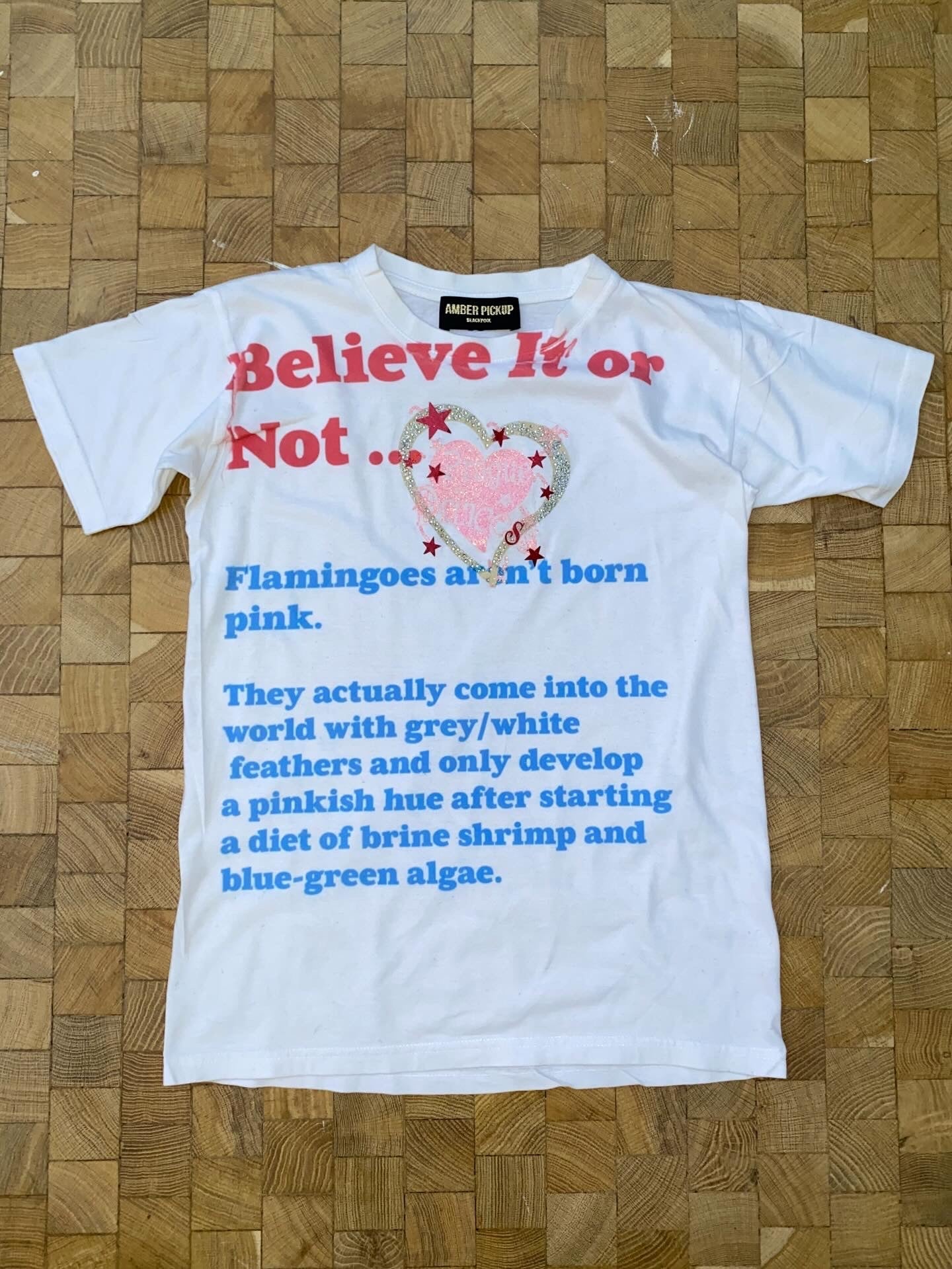 Believe it or not t-shirt... flamingoes aren't born pink