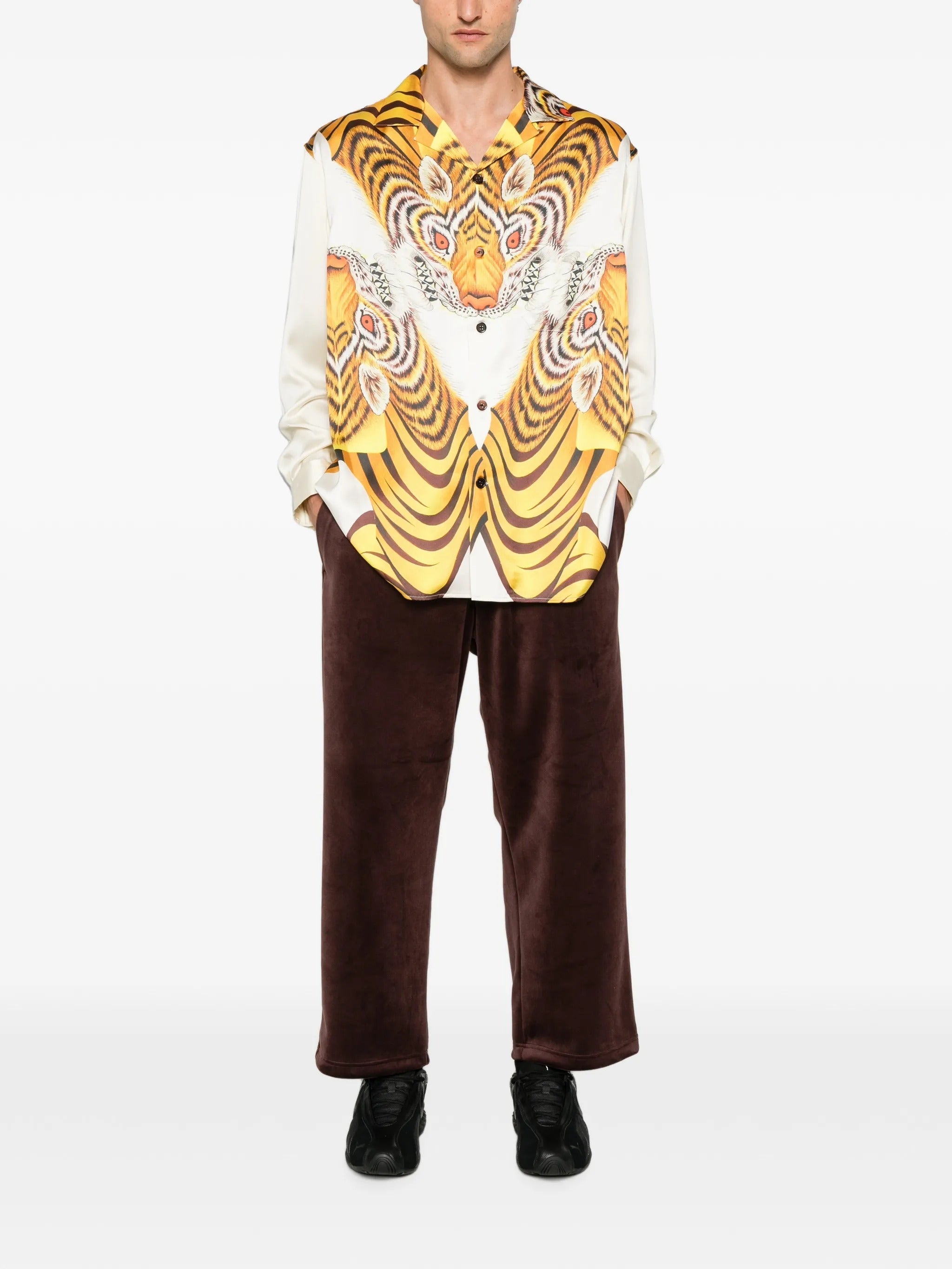 M vc tp
