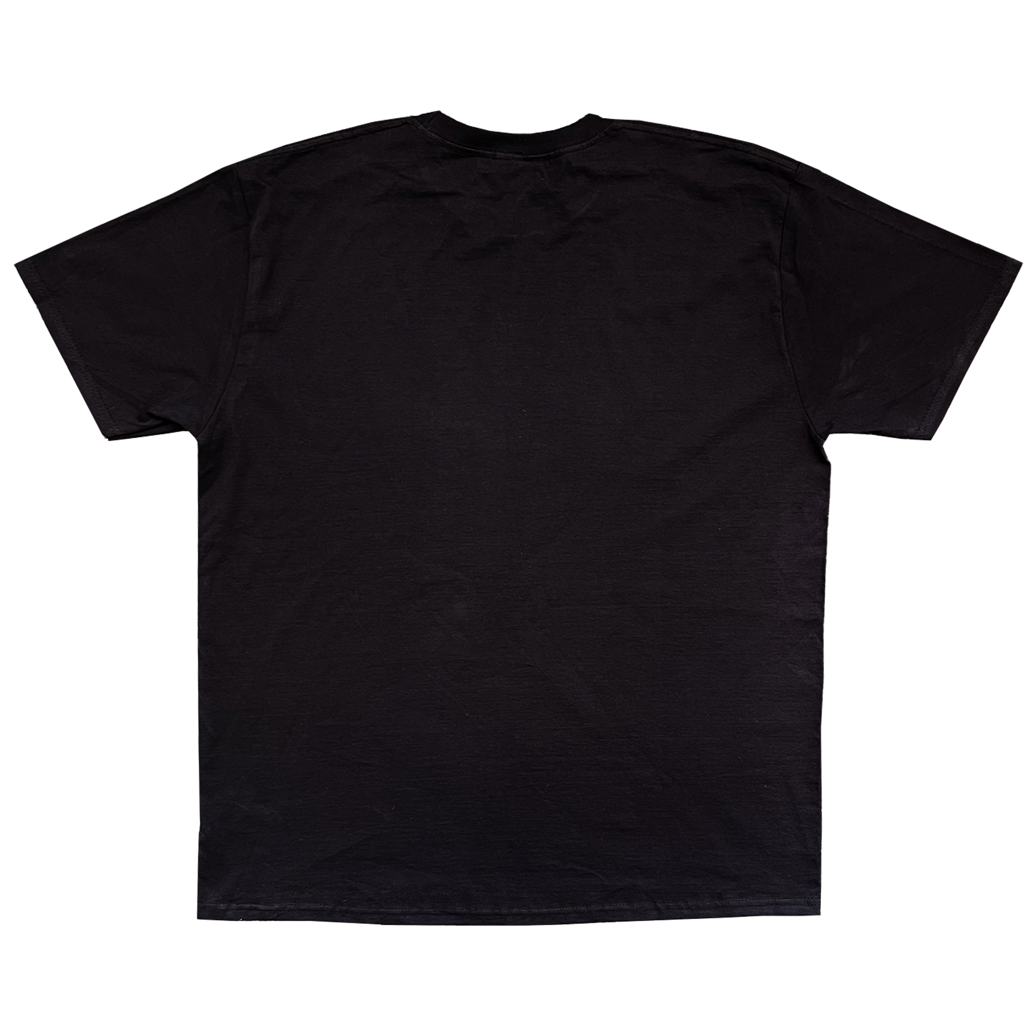 Dragon slayer tee
