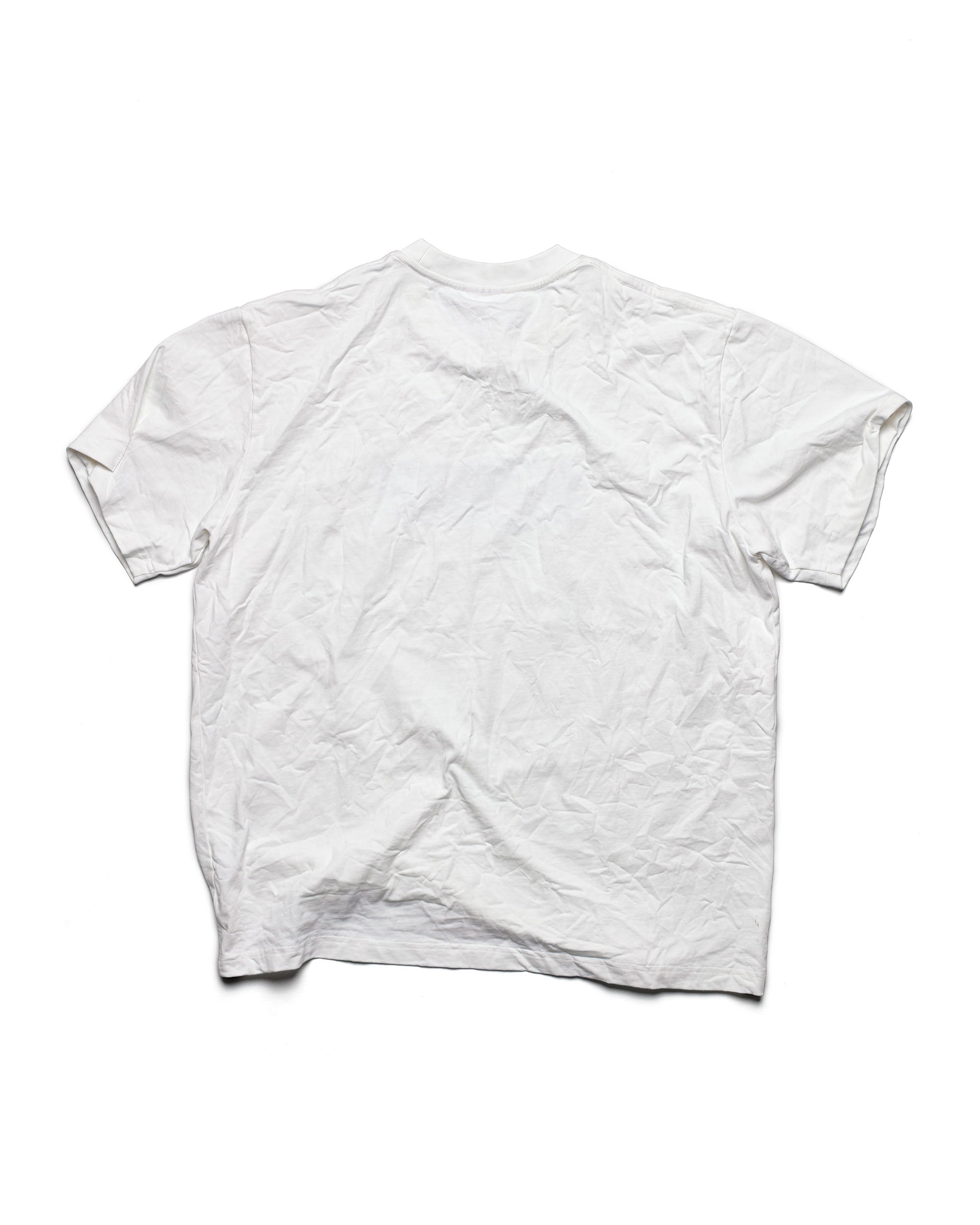 Leo boxnologo wrinkled tee
