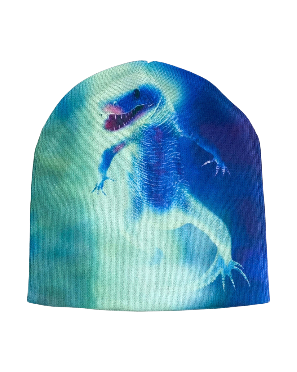 Genesis beanie