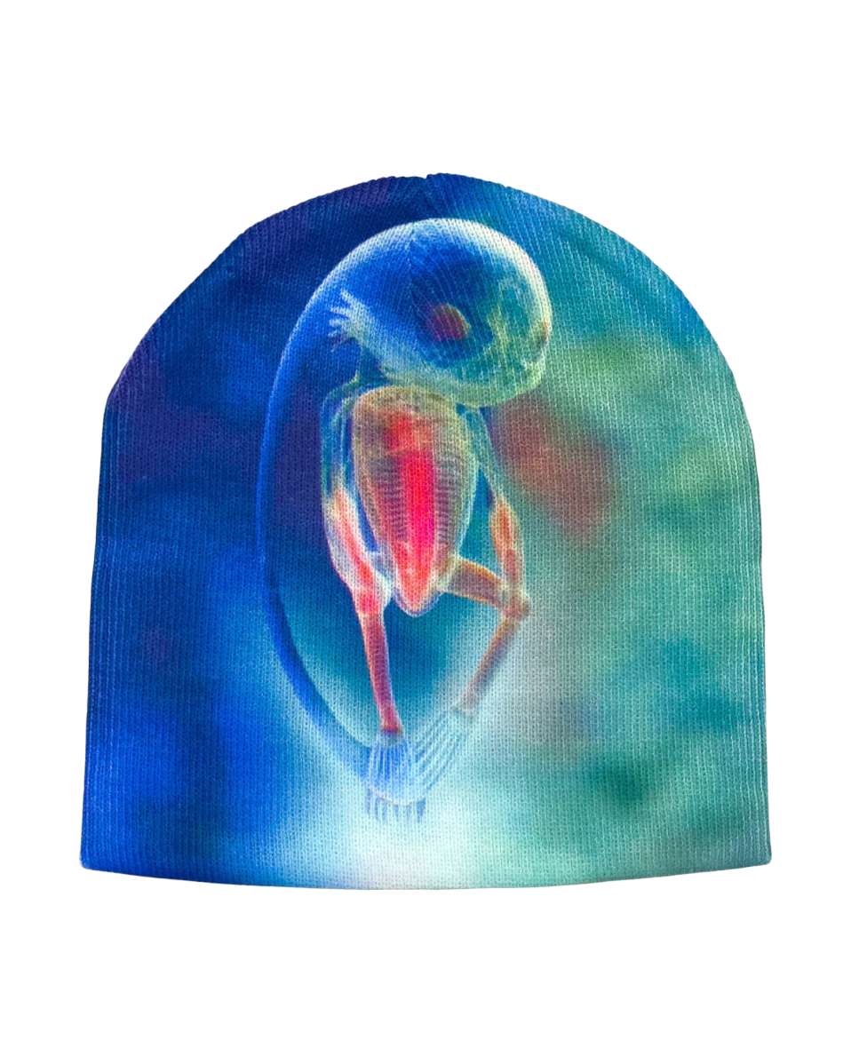 Genesis beanie