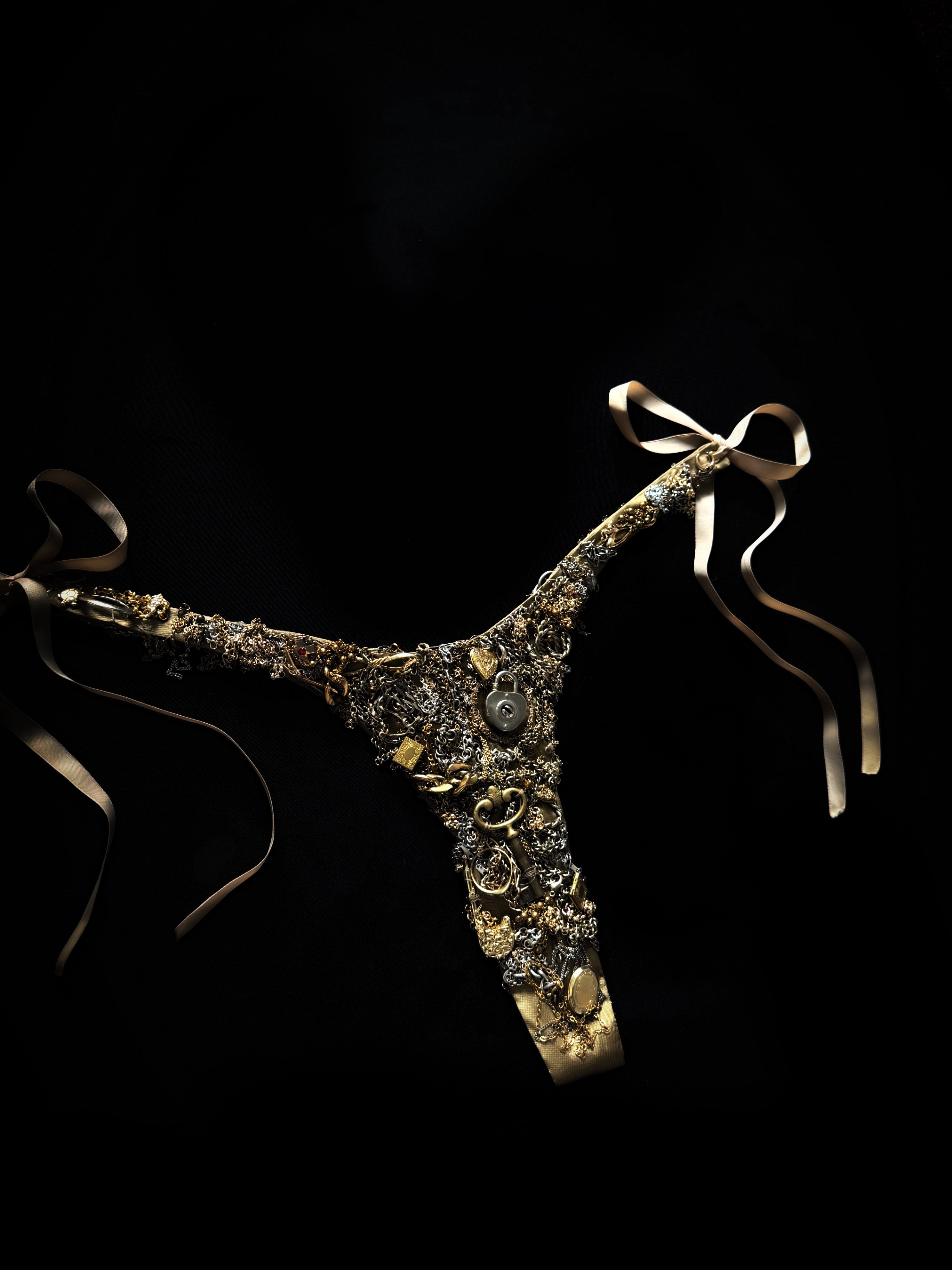 Embroidered silk thong