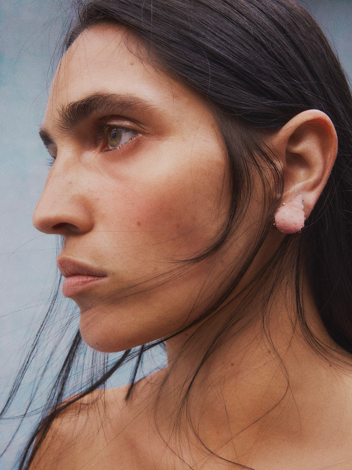Nassa stud earrings