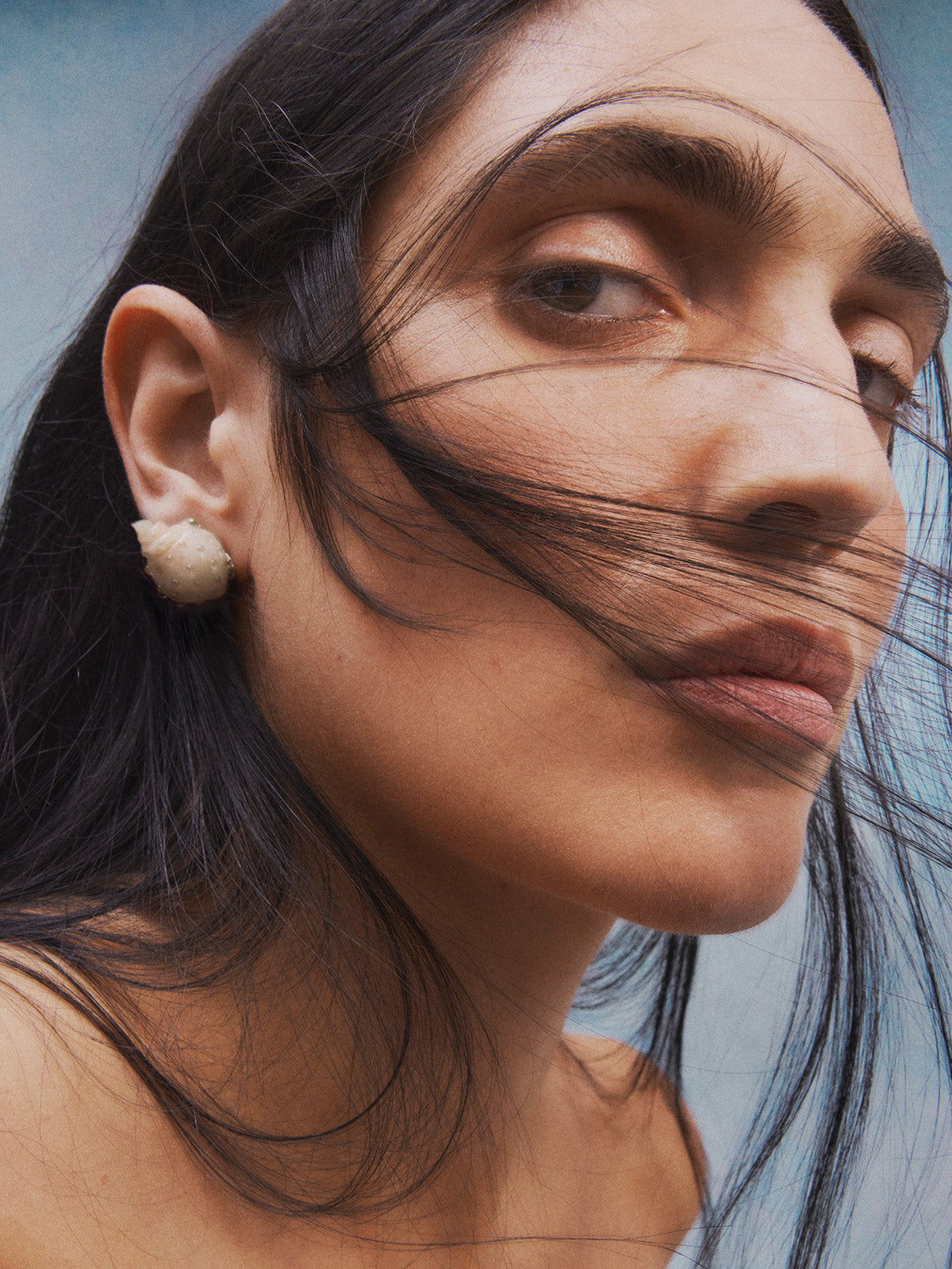 Nassa stud earrings