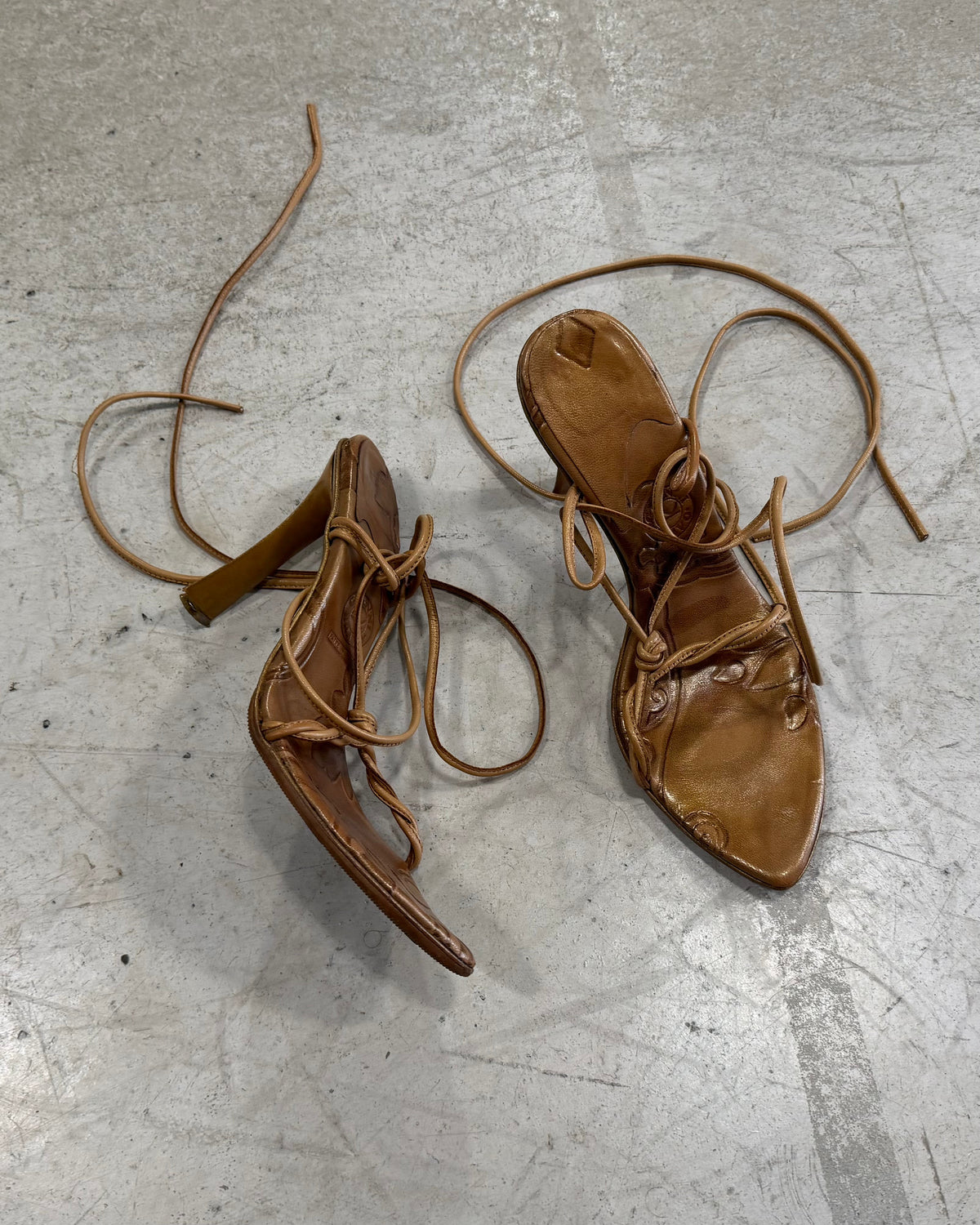 The charlotte heels