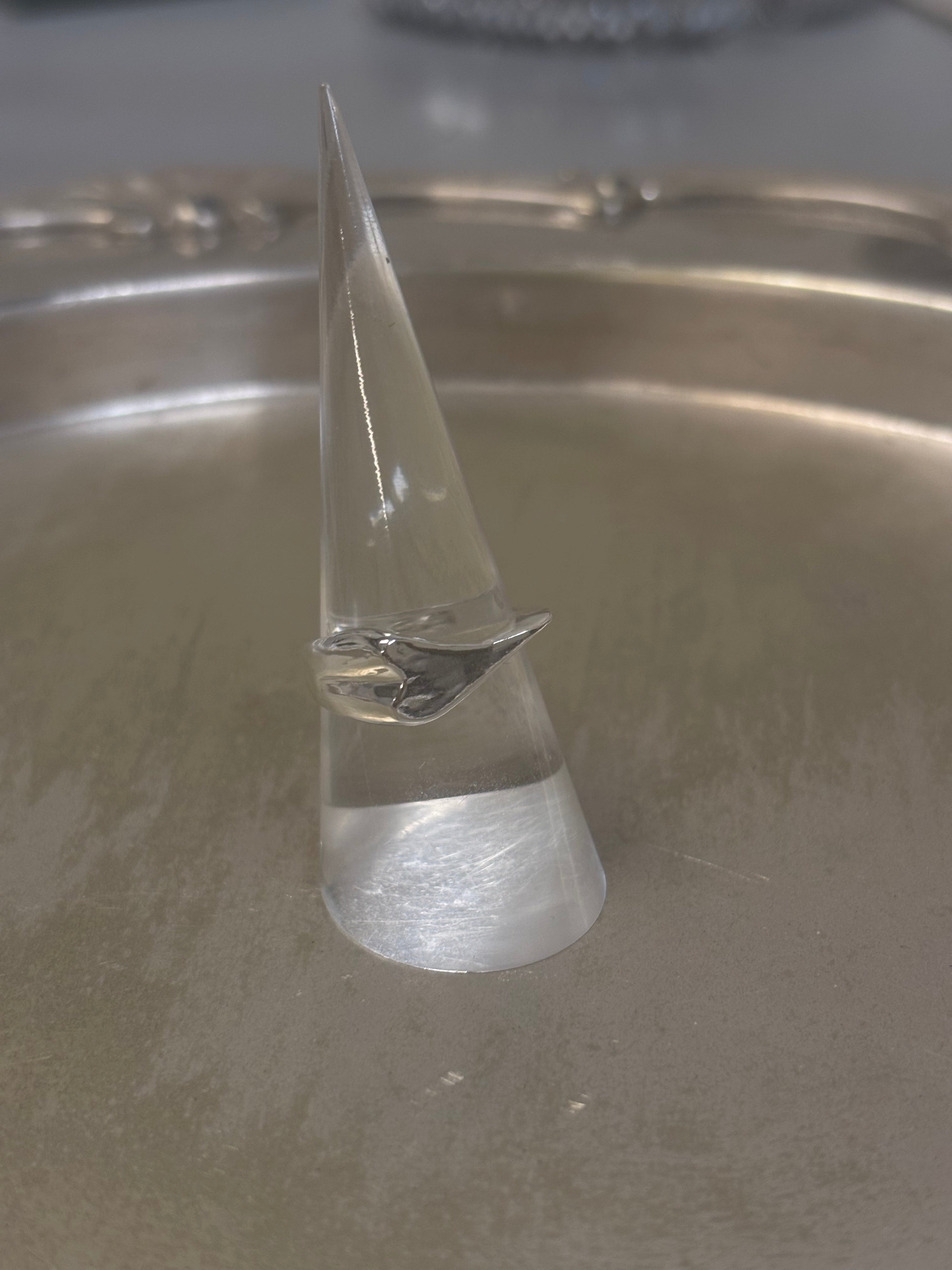 A holding place ring - silver