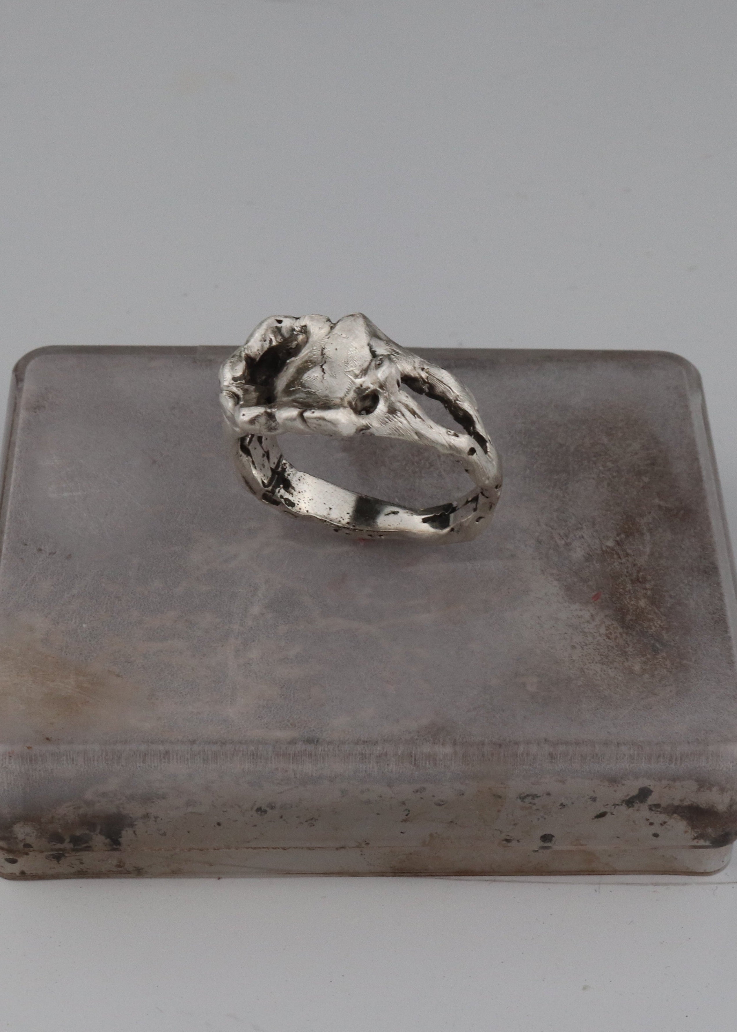 01-piece series femur ring