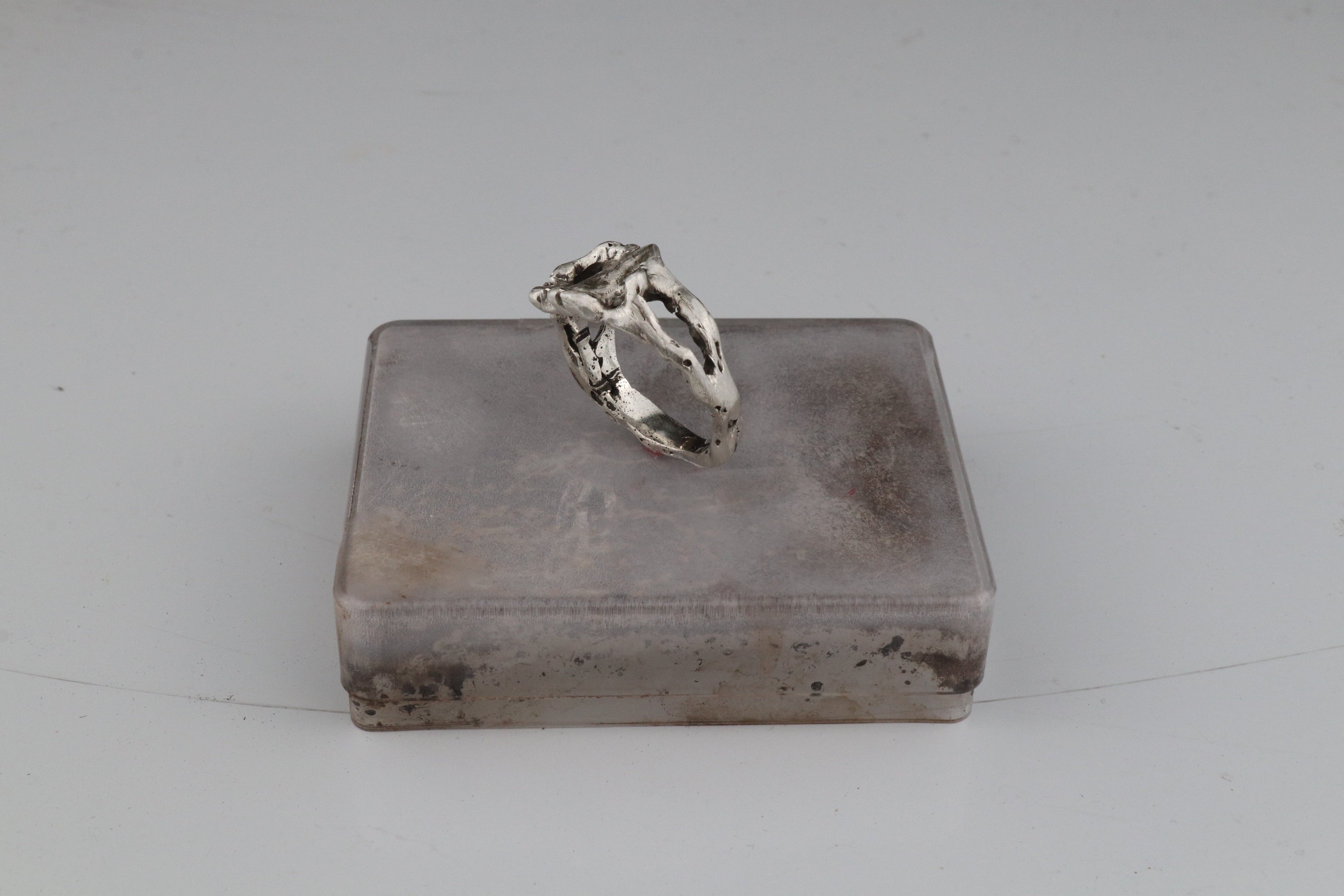 01-piece series femur ring