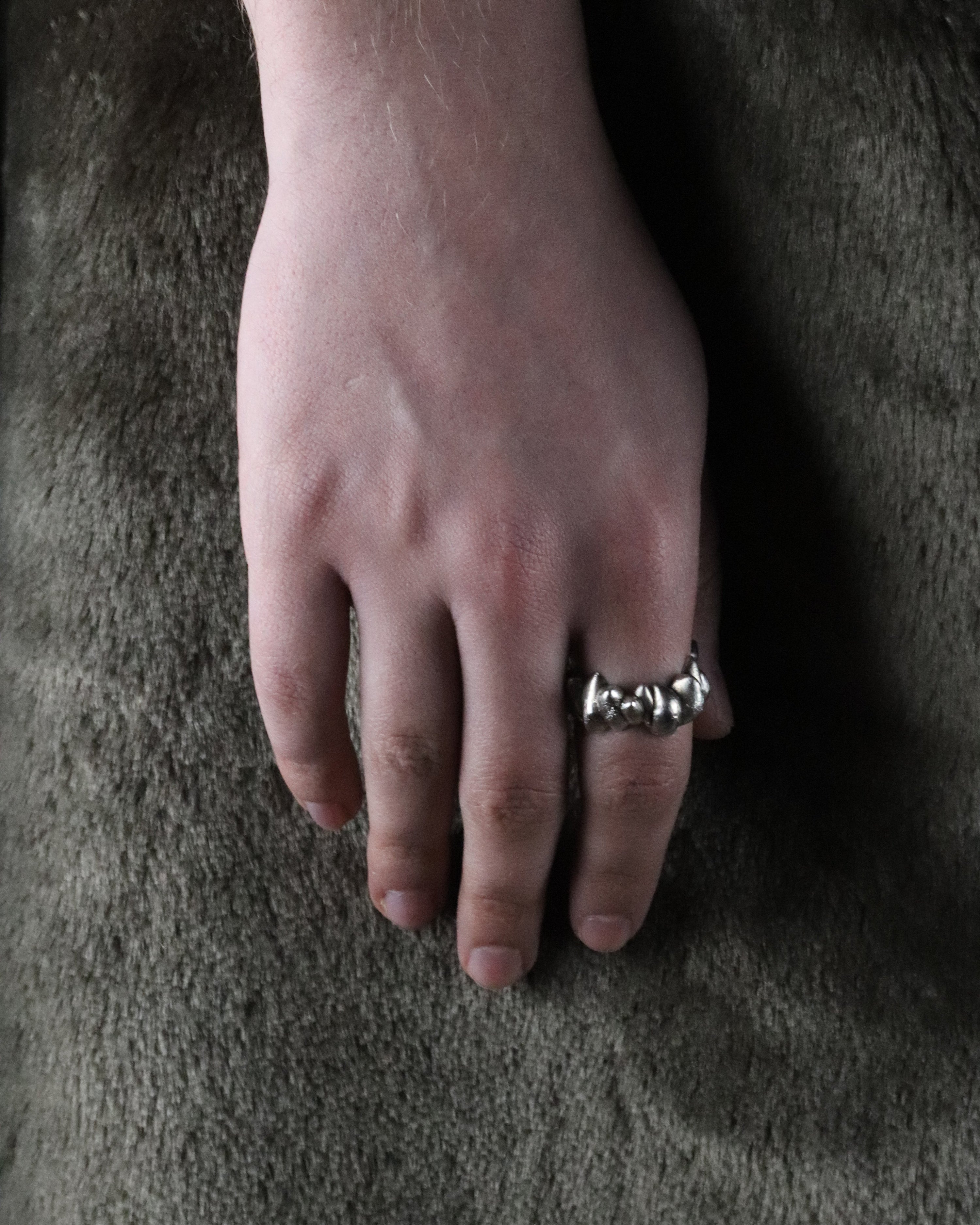 01-piece series canine ring