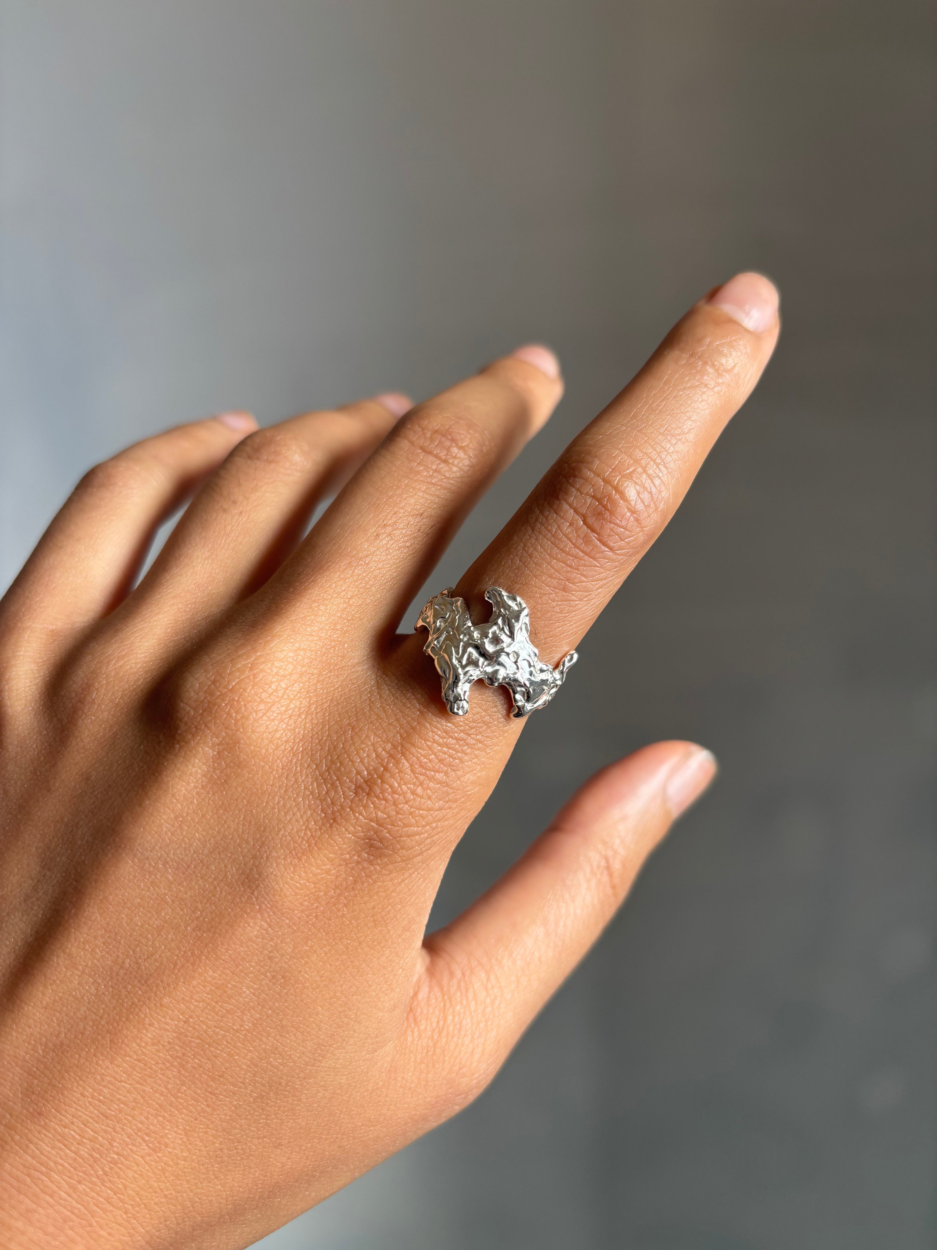 Visceral ring - silver