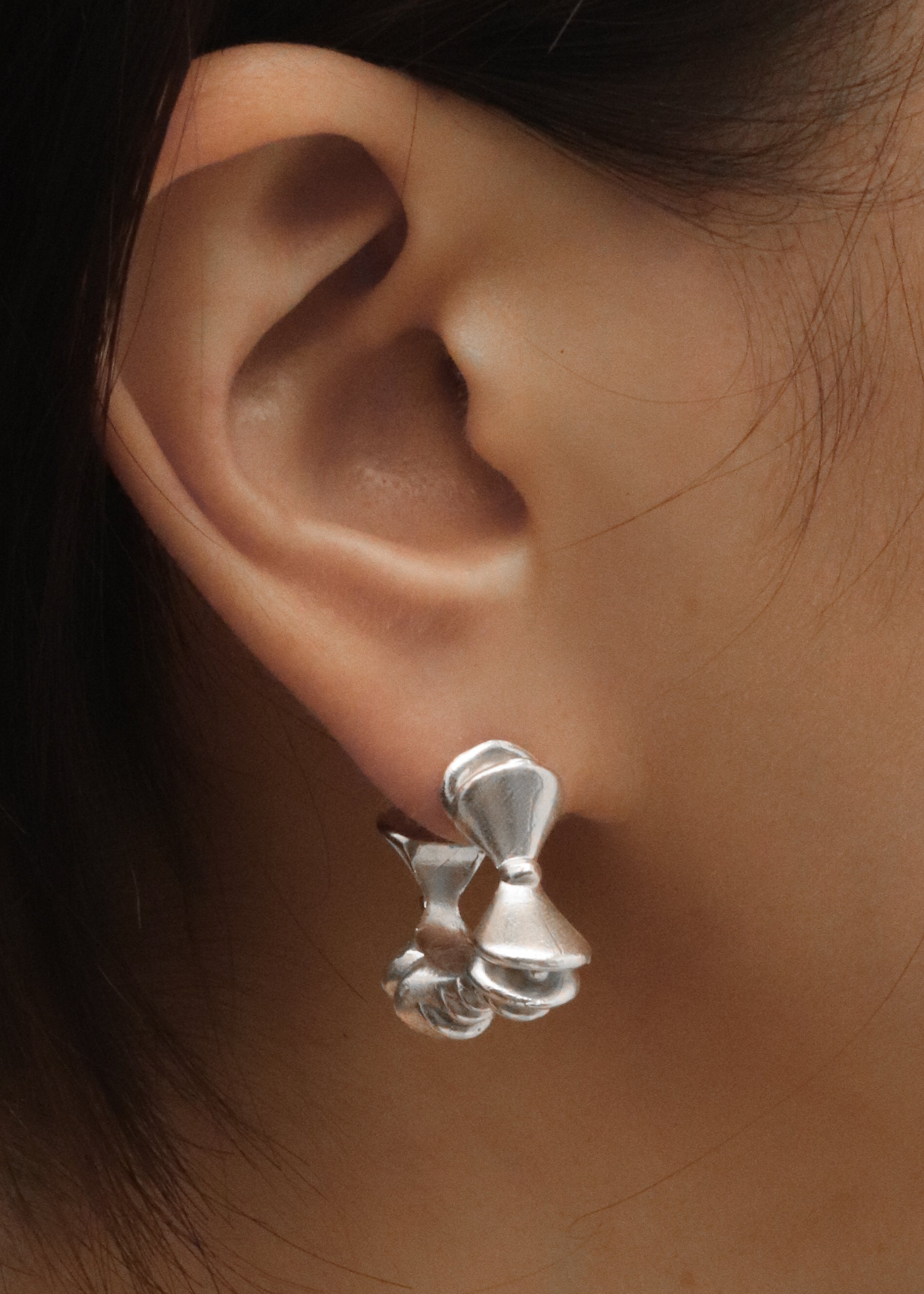 Echo earring