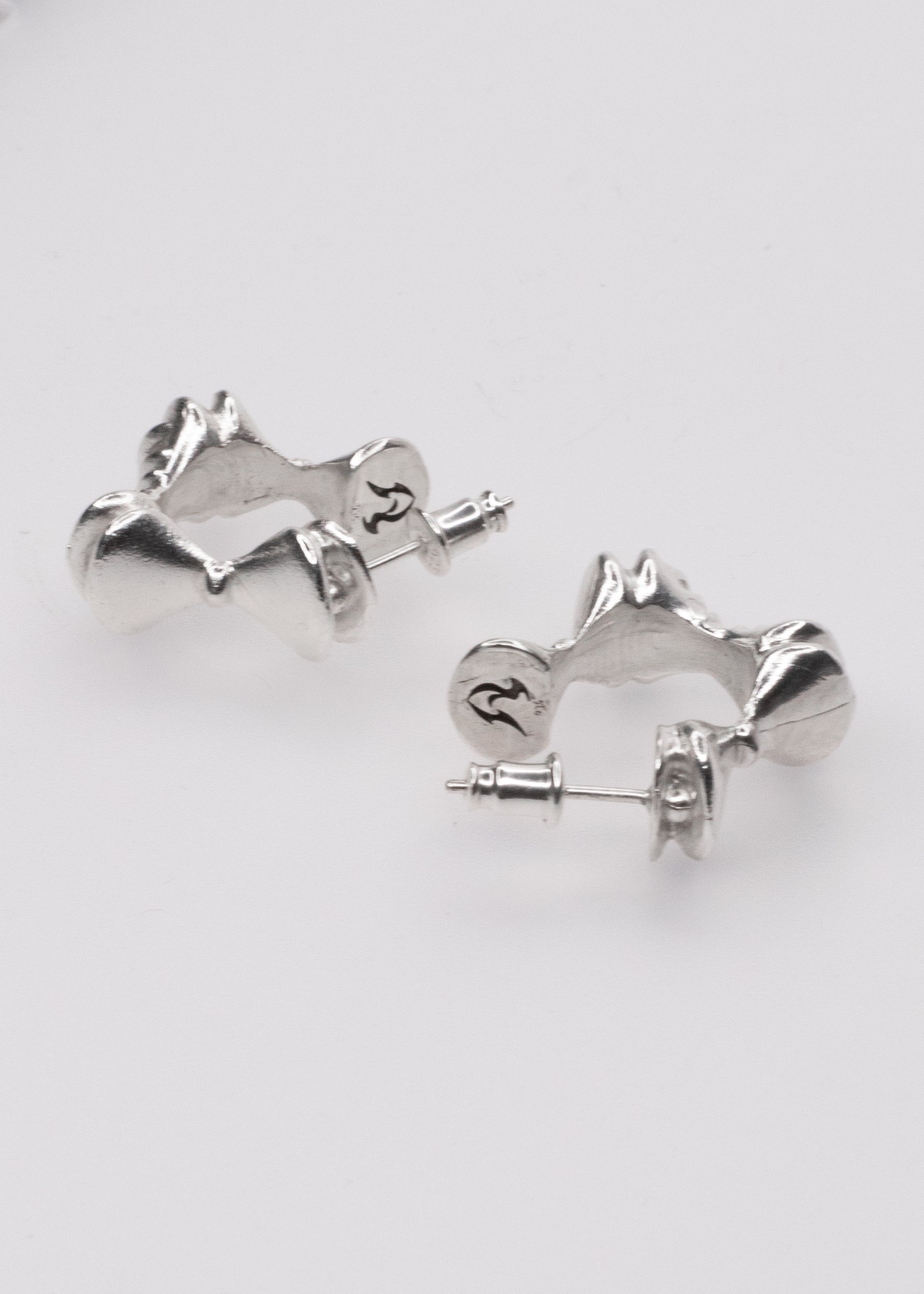 Echo earring