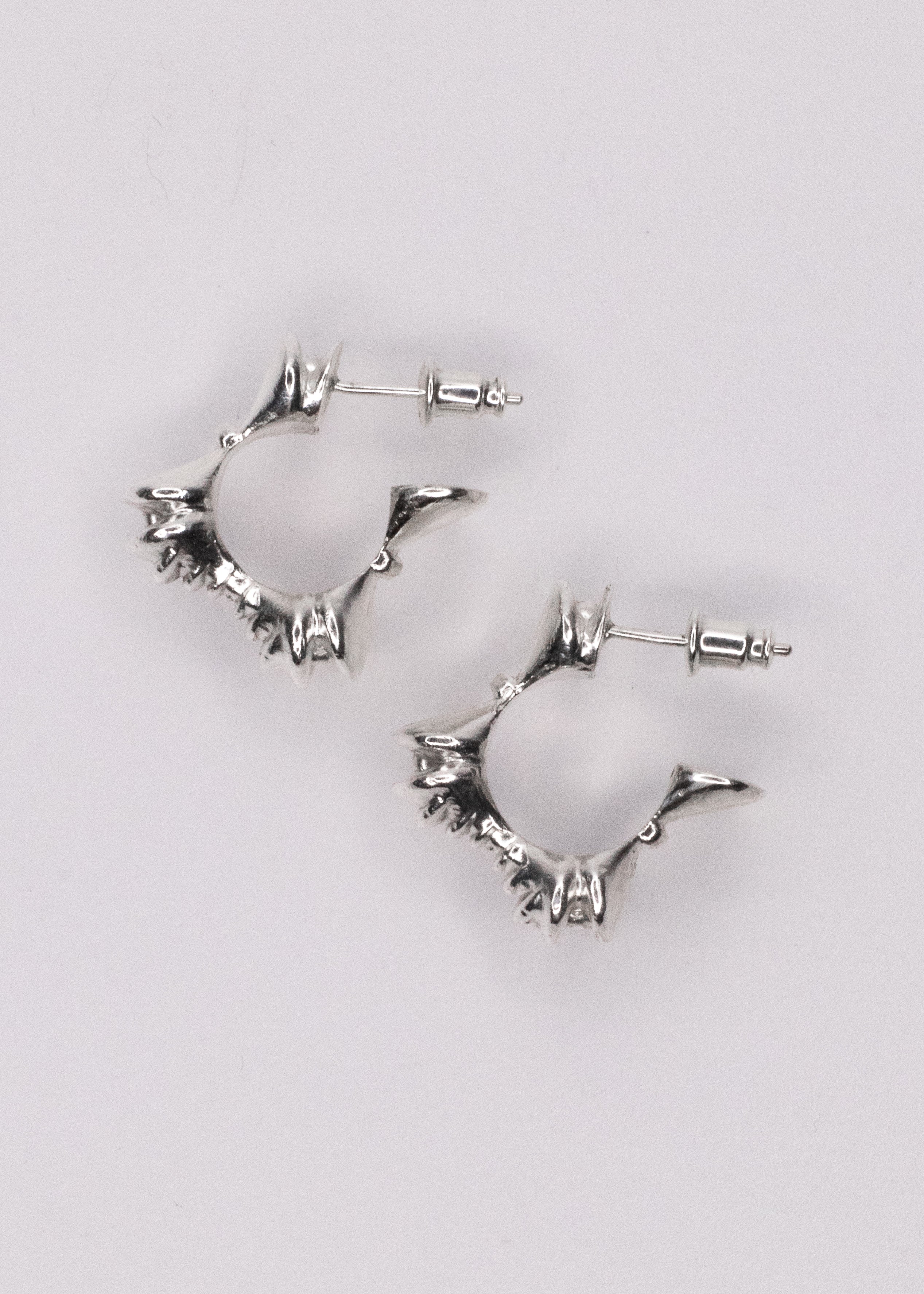 Echo earring