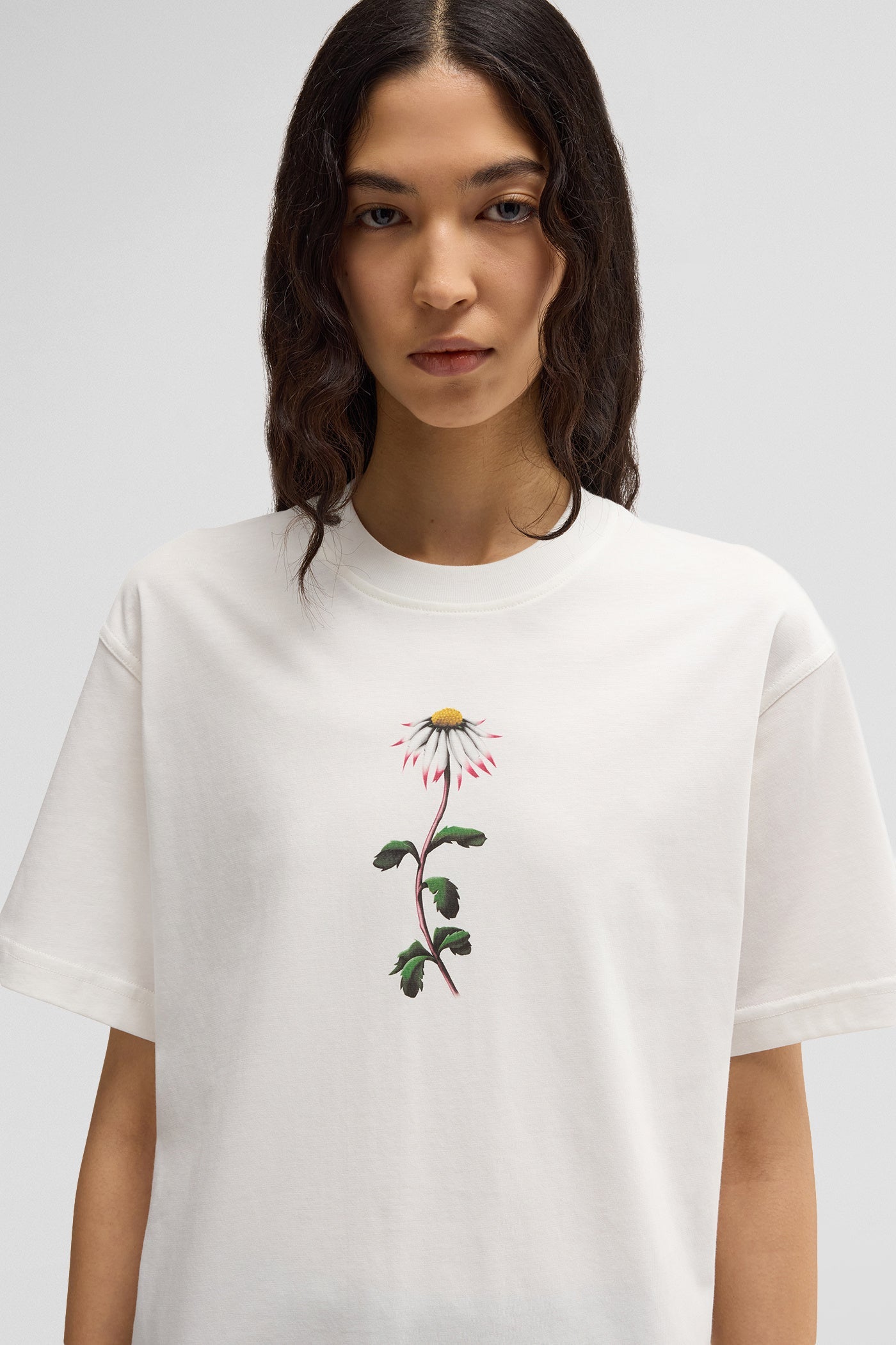 Daisy t