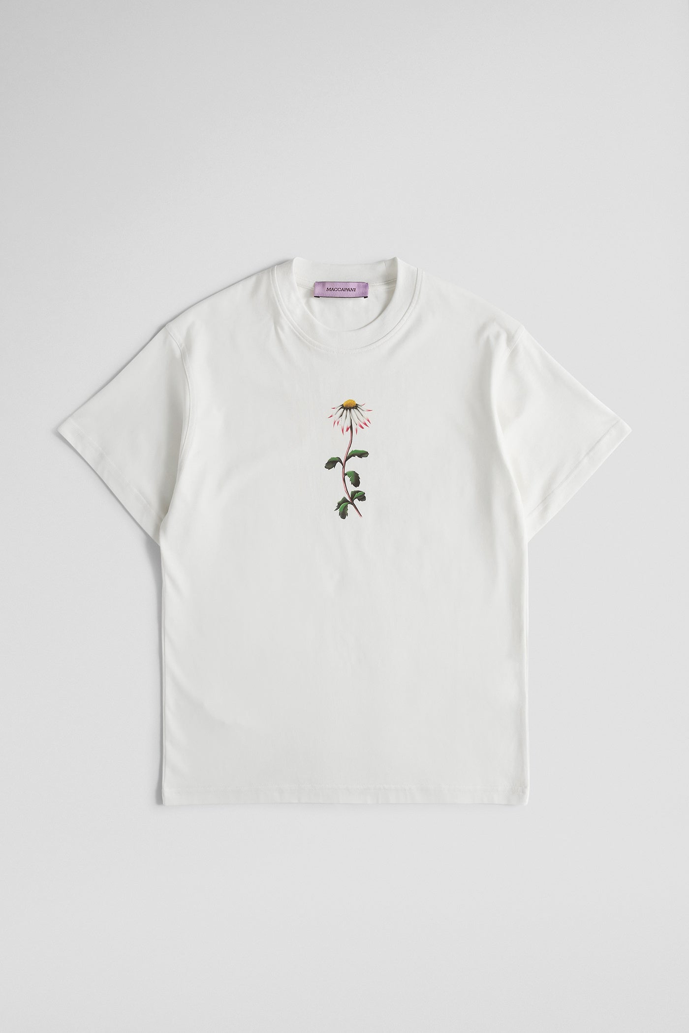 Daisy t