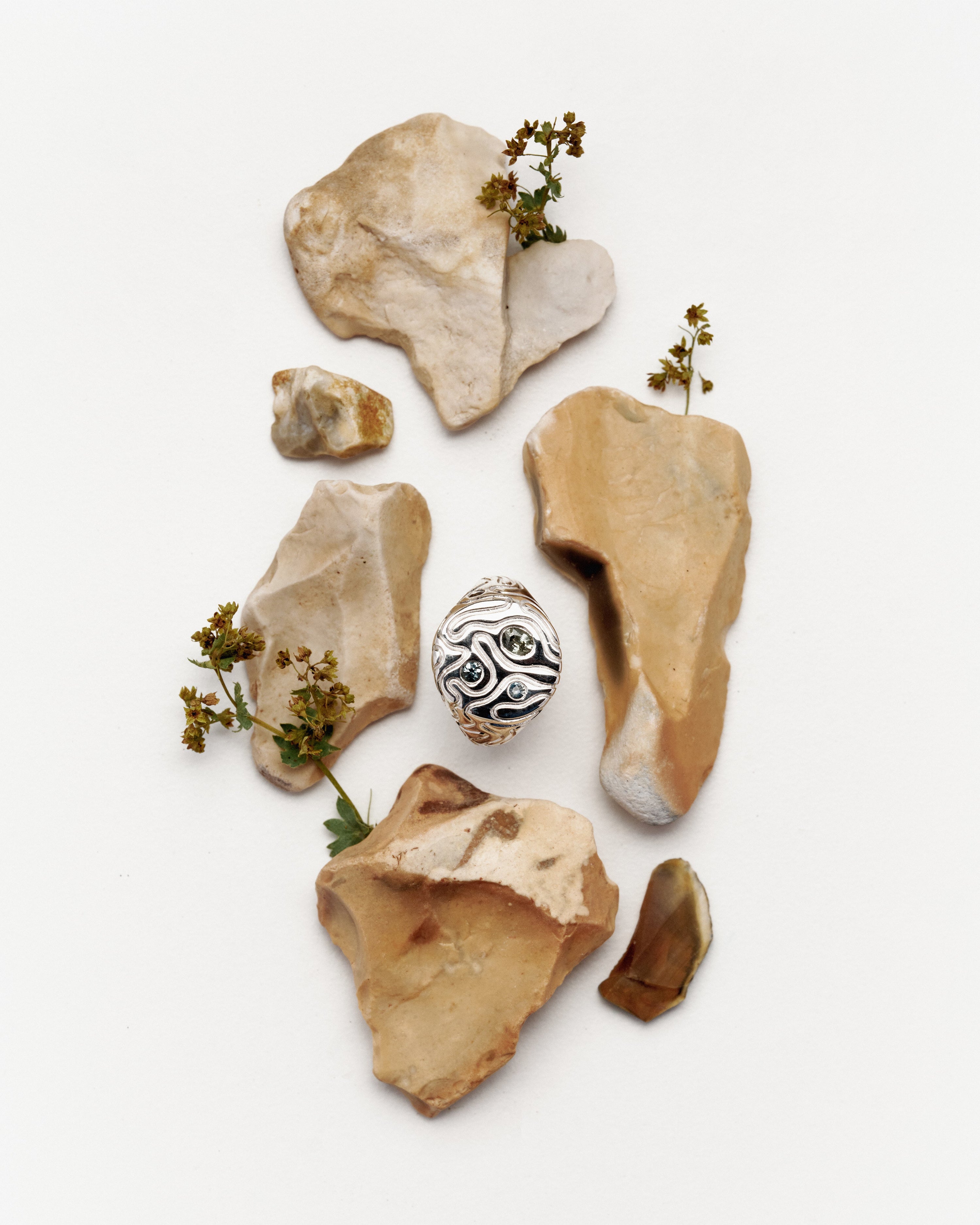 Oasis signet