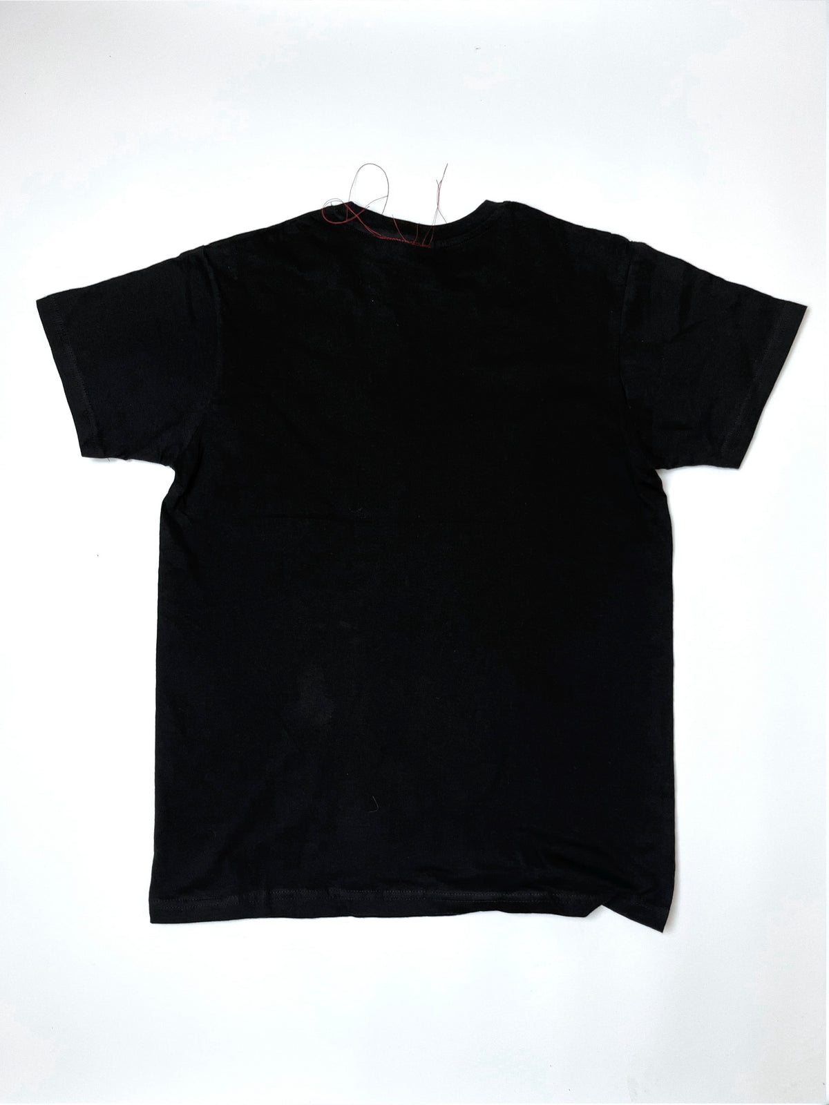 Parasit t-shirt