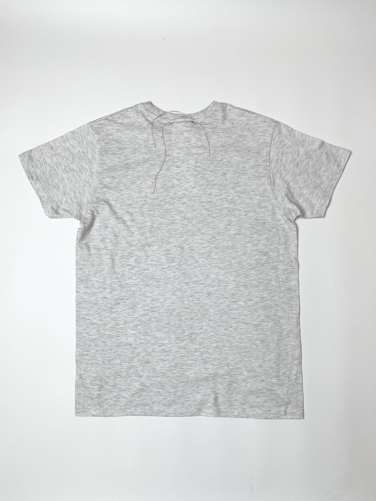 Parasit t-shirt