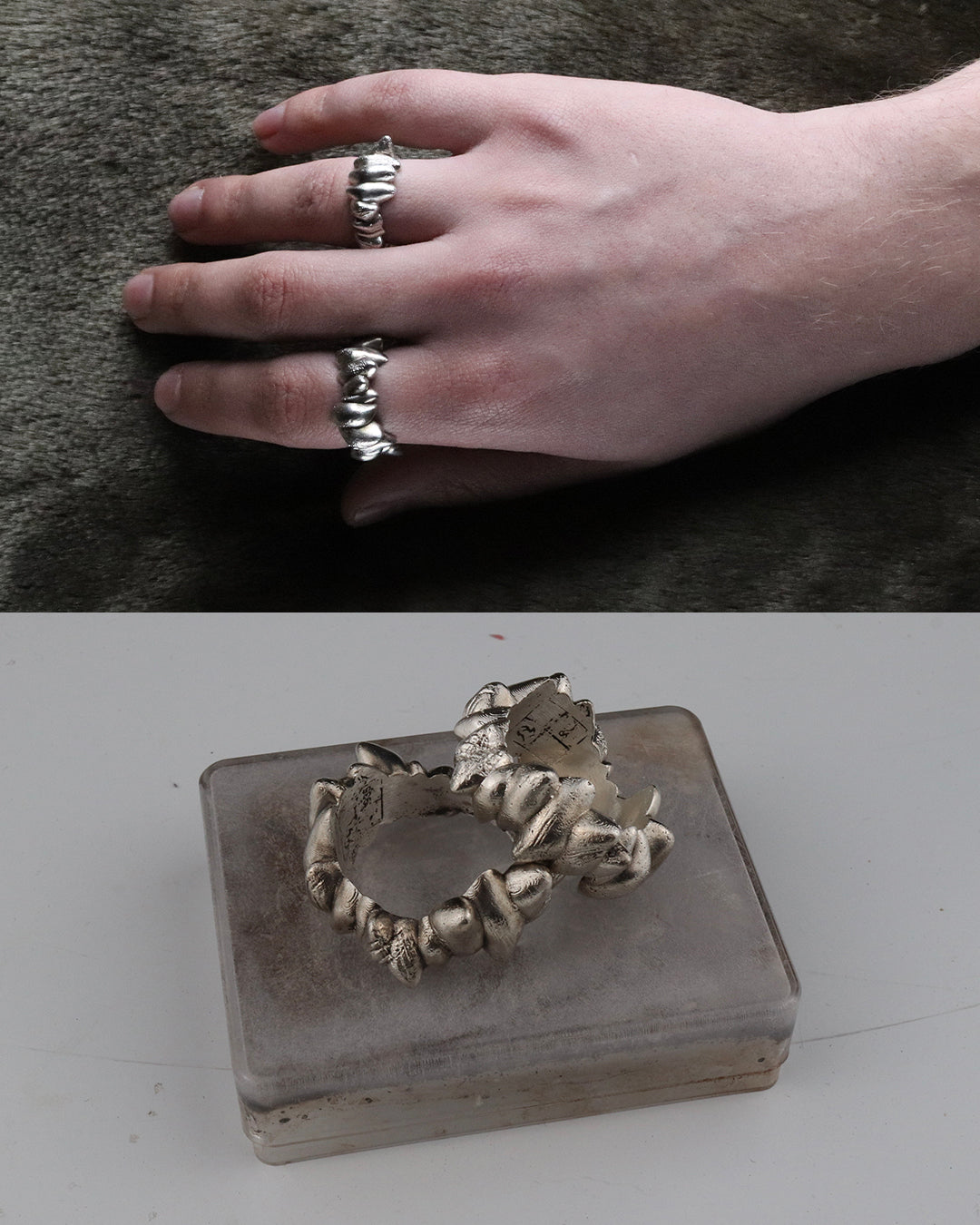 01-piece series canine ring
