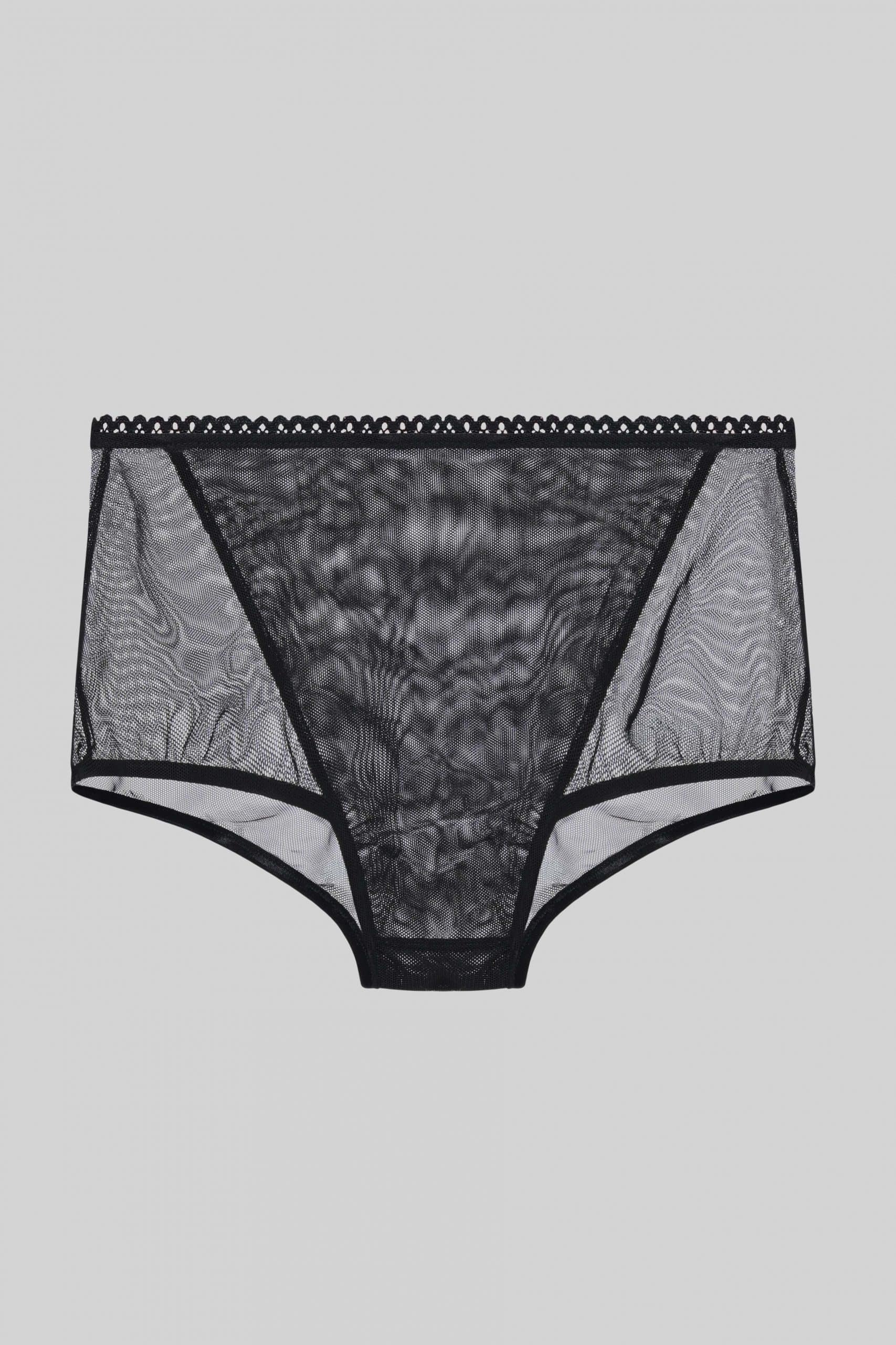 Sheer black briefs