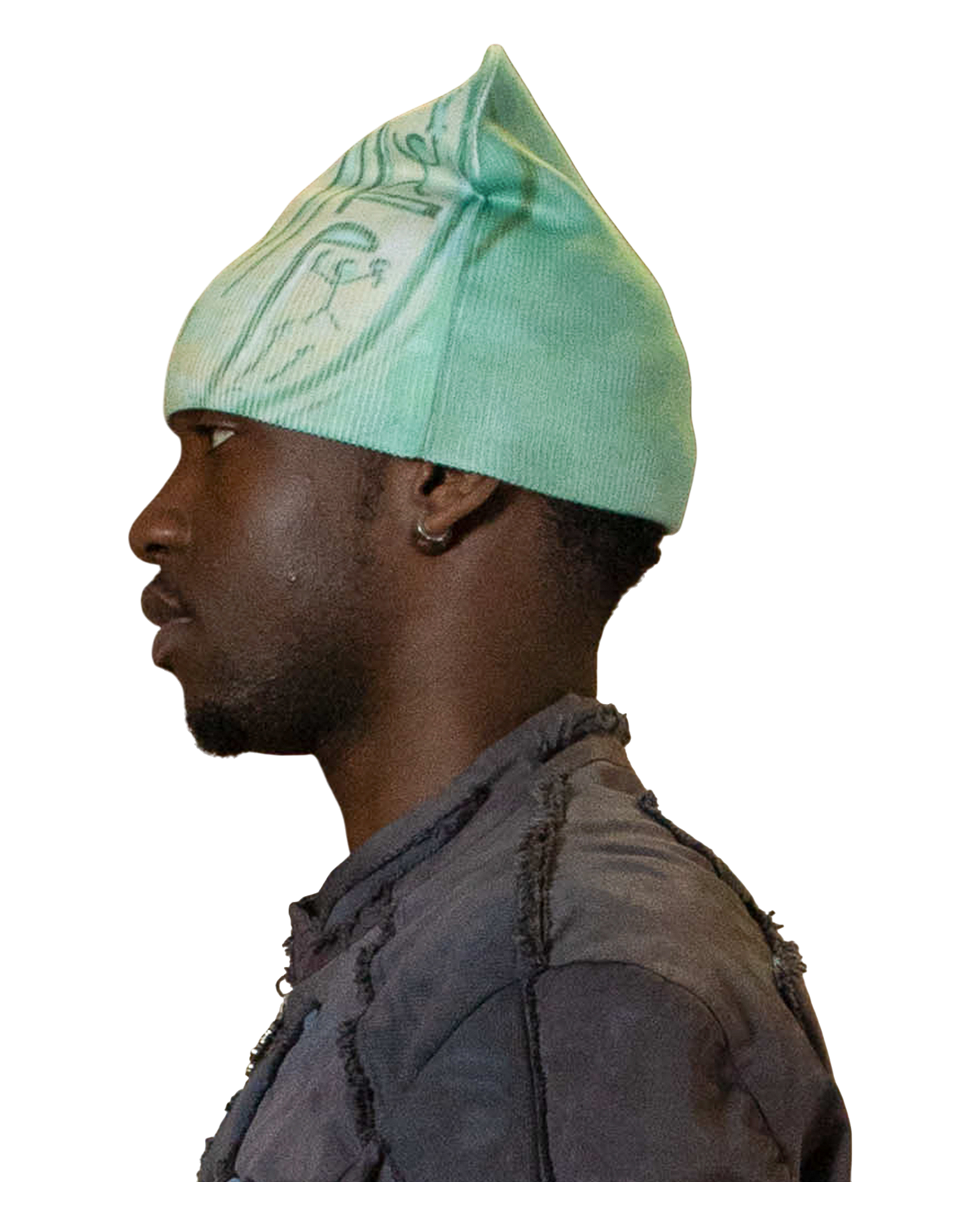 Scaraboid beanie