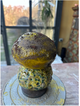 Funghi#1-2026