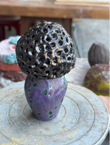 Funghi#6-2026