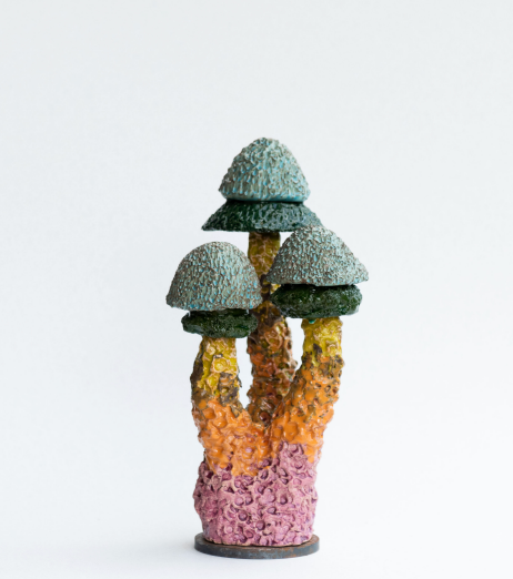 Funghi#19-2026