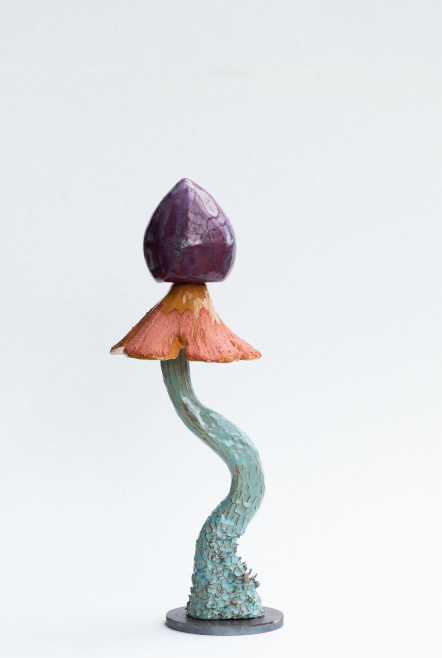 Funghi#22-2026