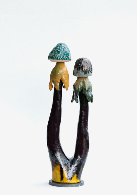 Funghi#18-2026