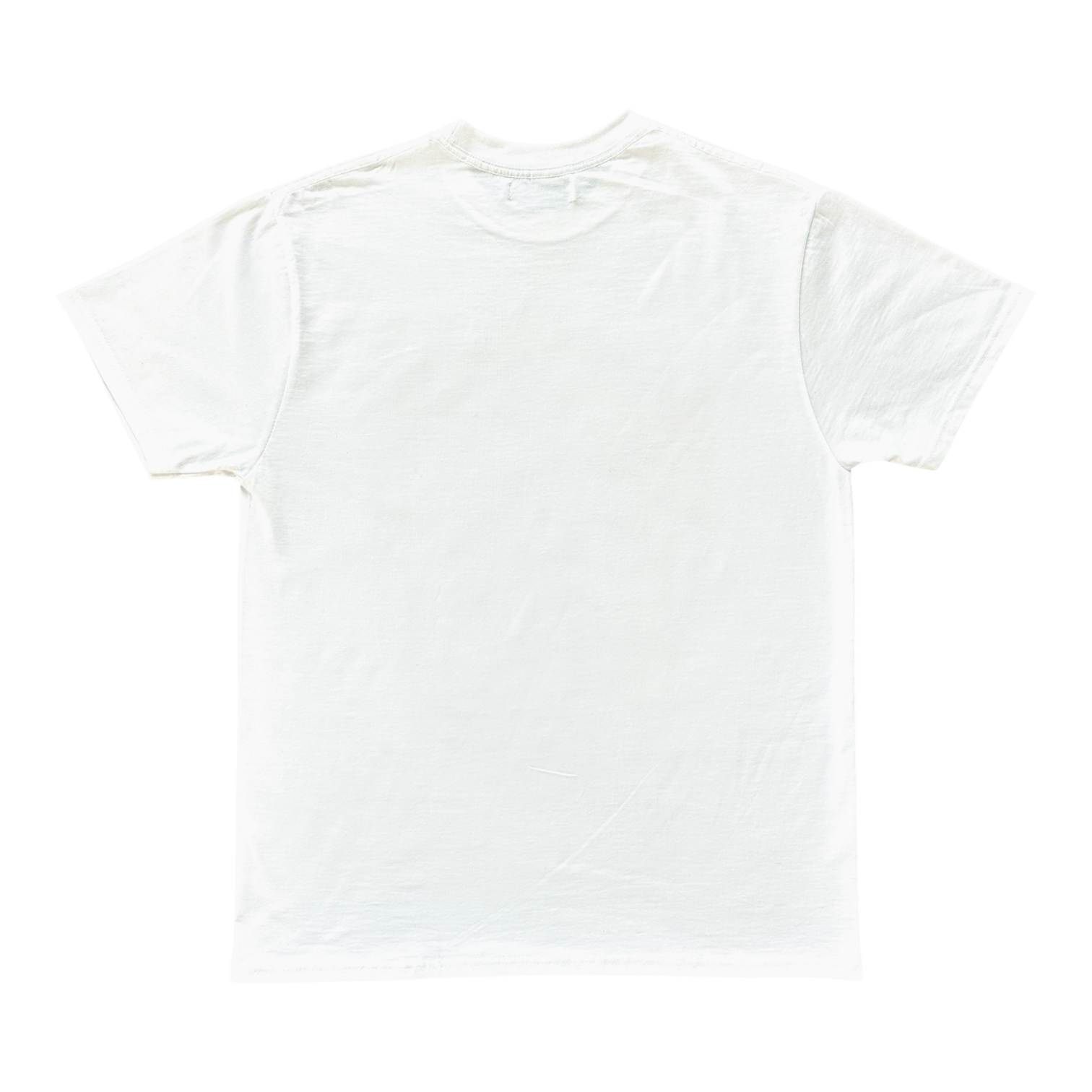 Neanderthal tee - white