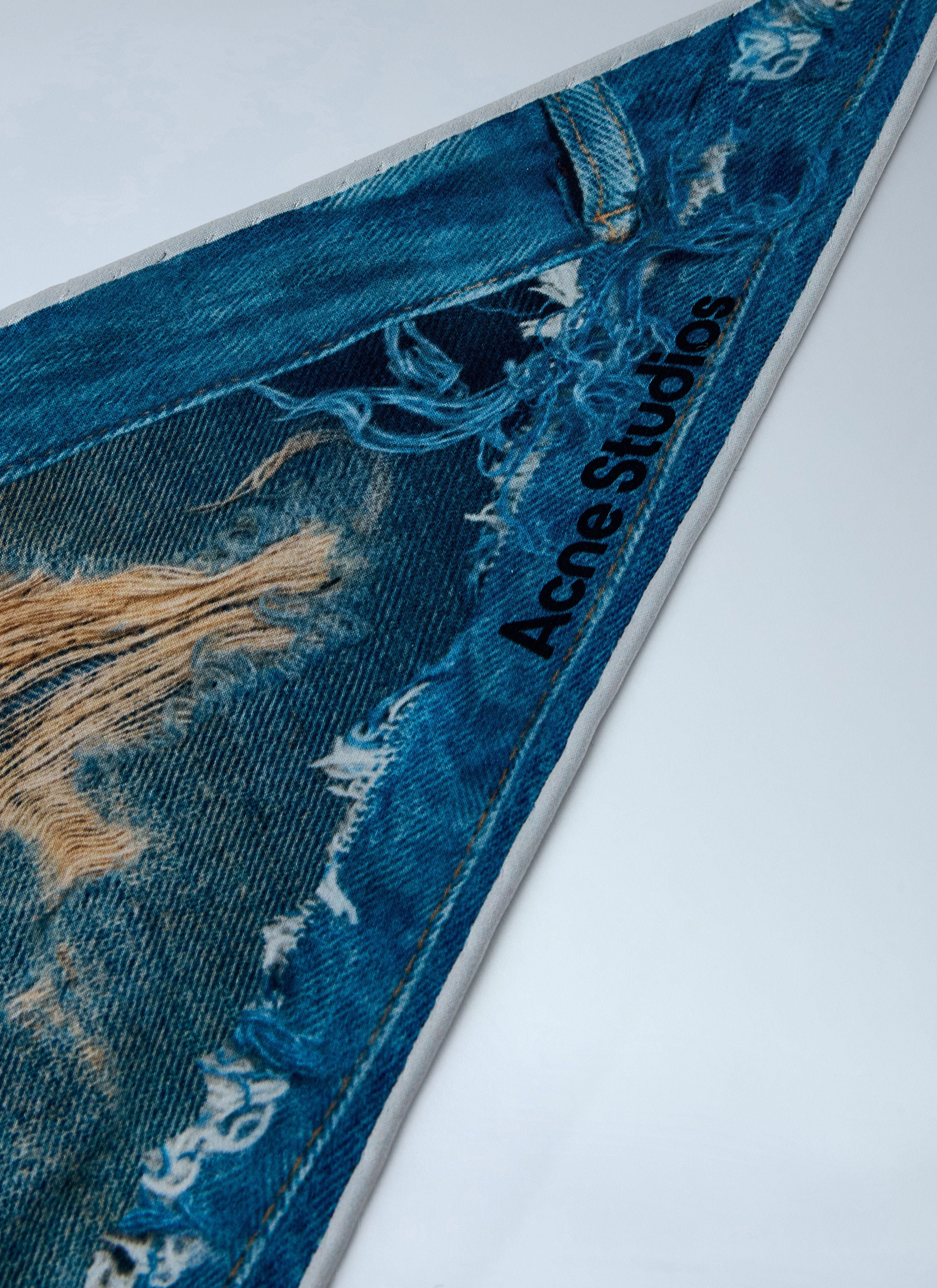 Printed silk scarf