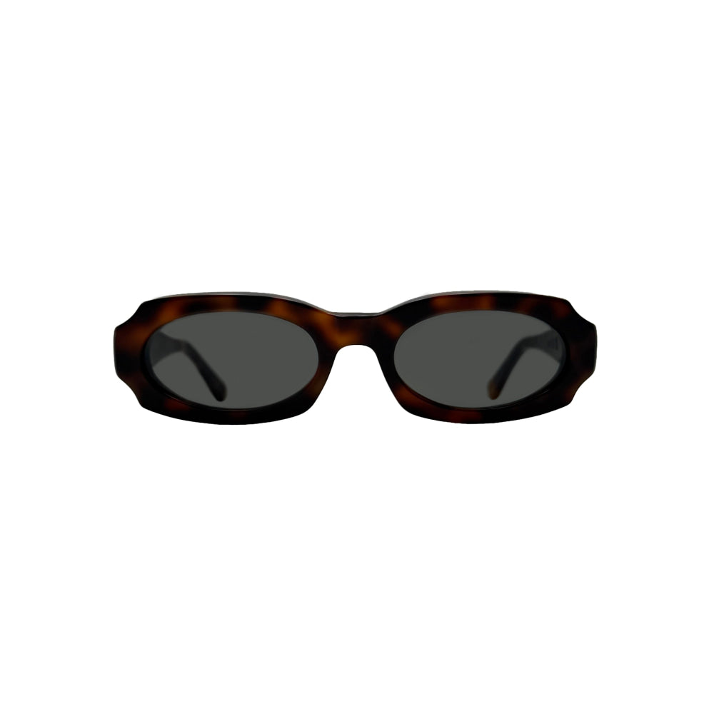 Af31 tortoise