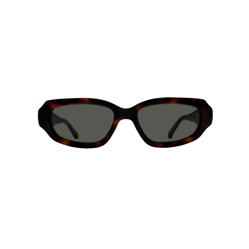 Af33 tortoise