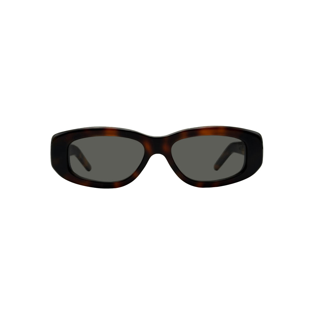 Af37 tortoise