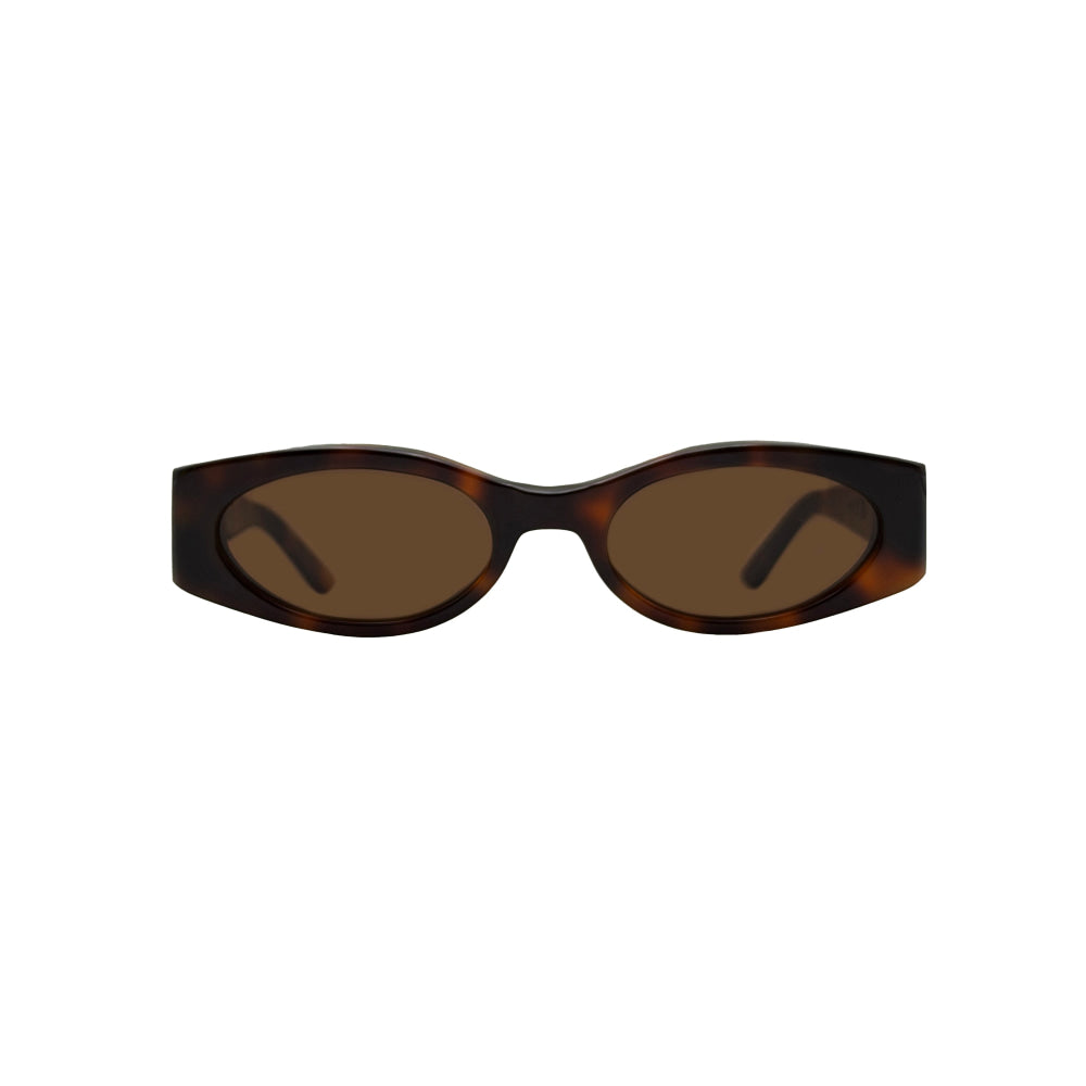 Af4 tortoise b