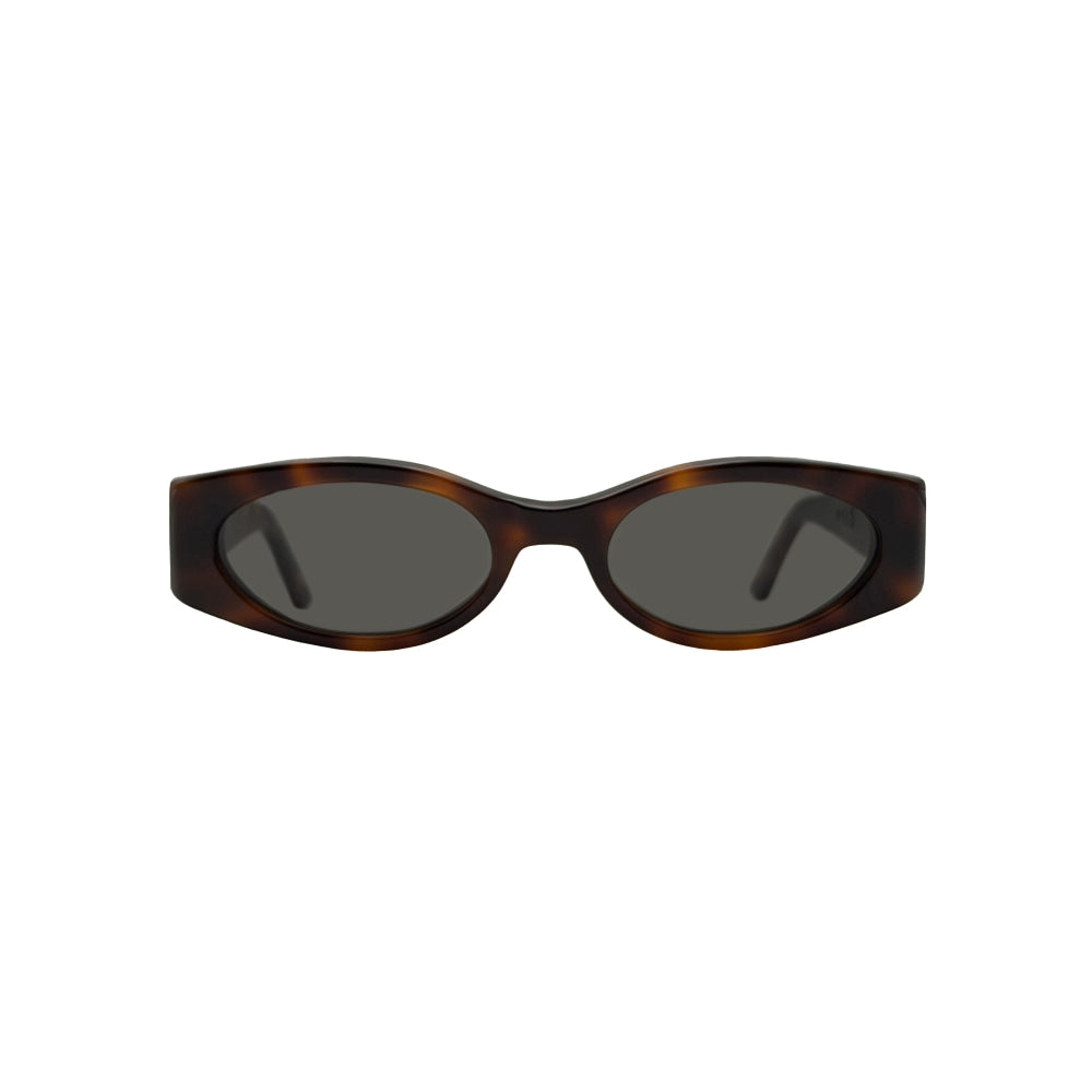 Af4 tortoise