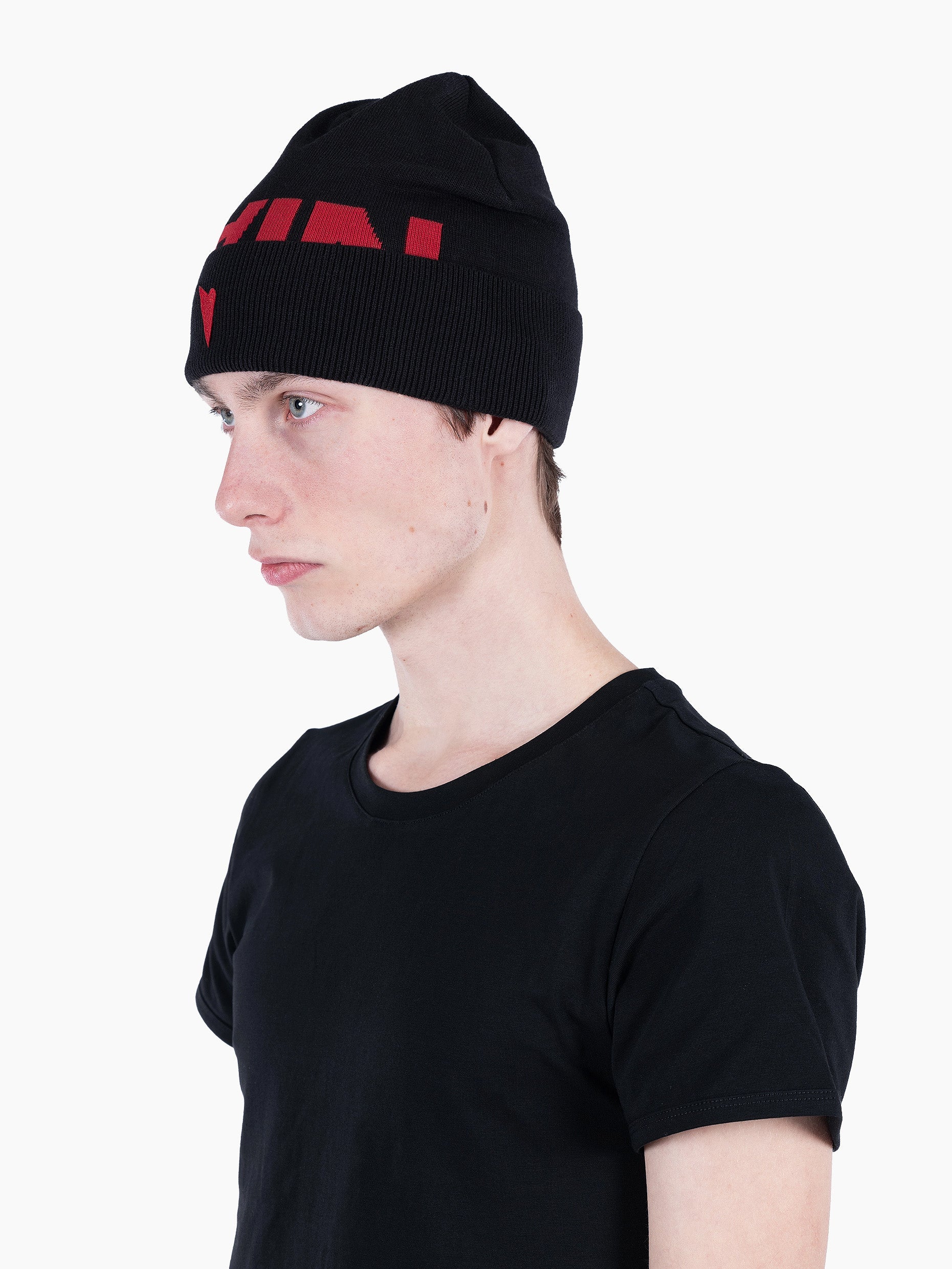 Vain logo beanie