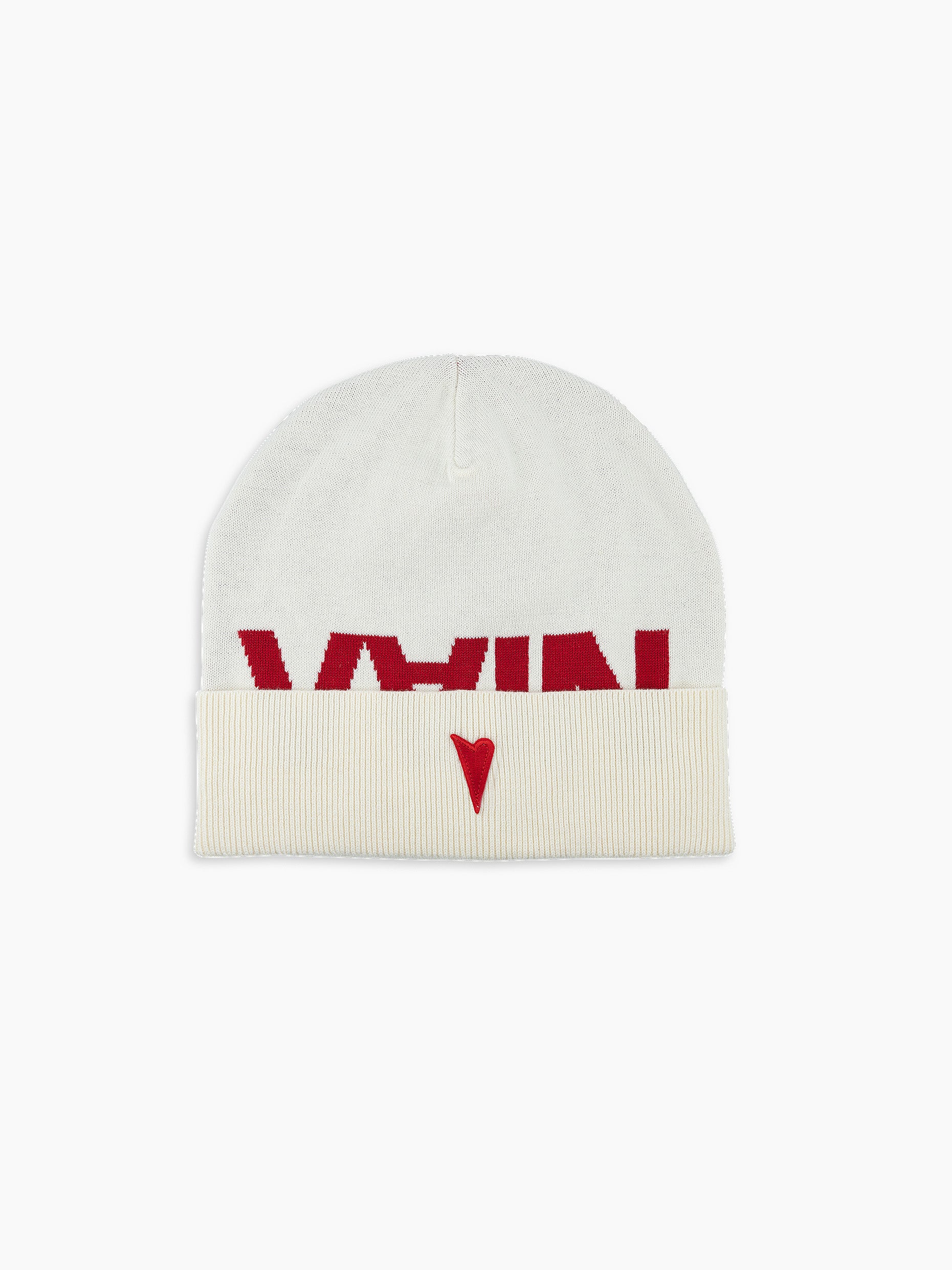 Vain logo beanie