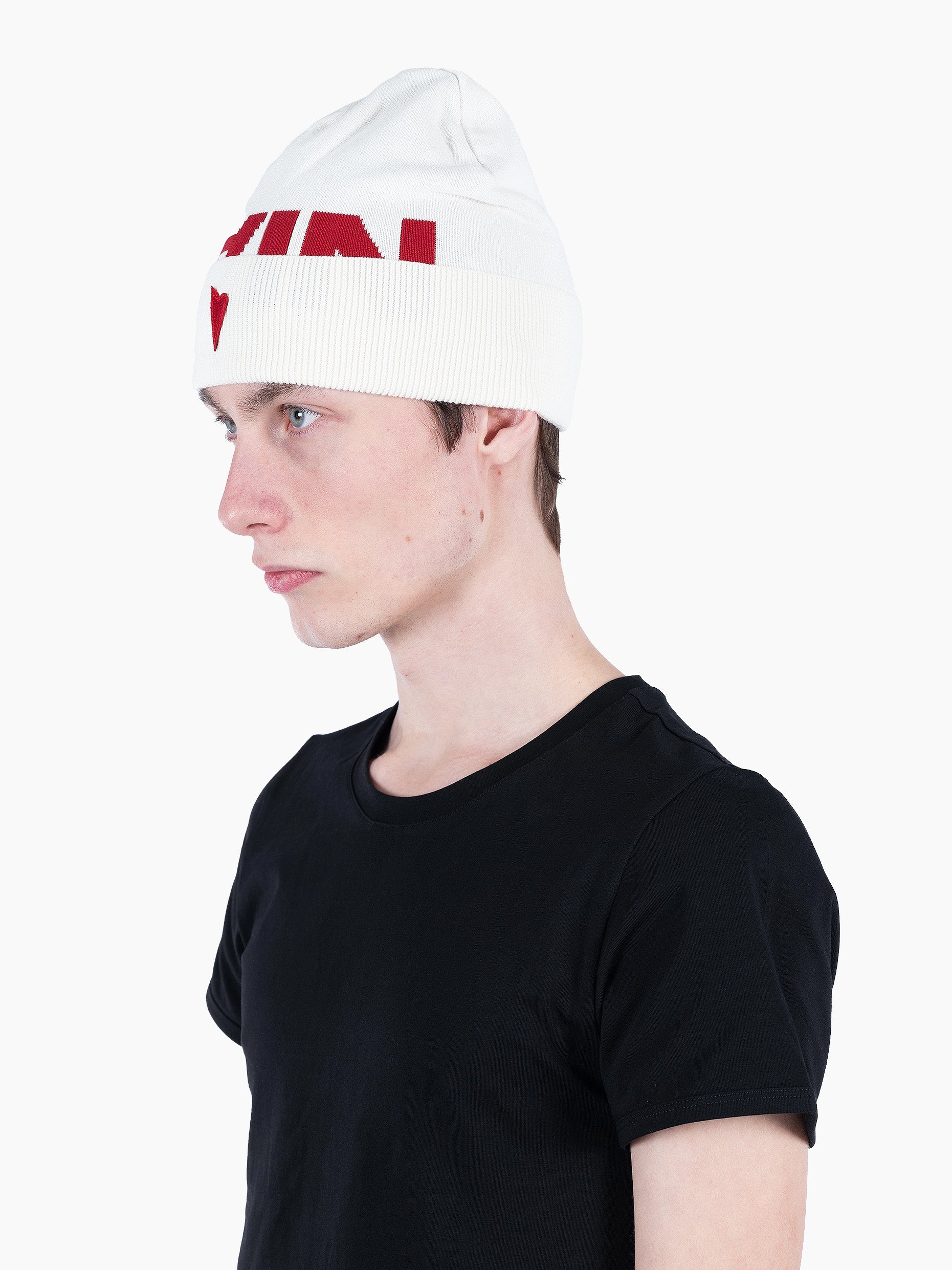 Vain logo beanie