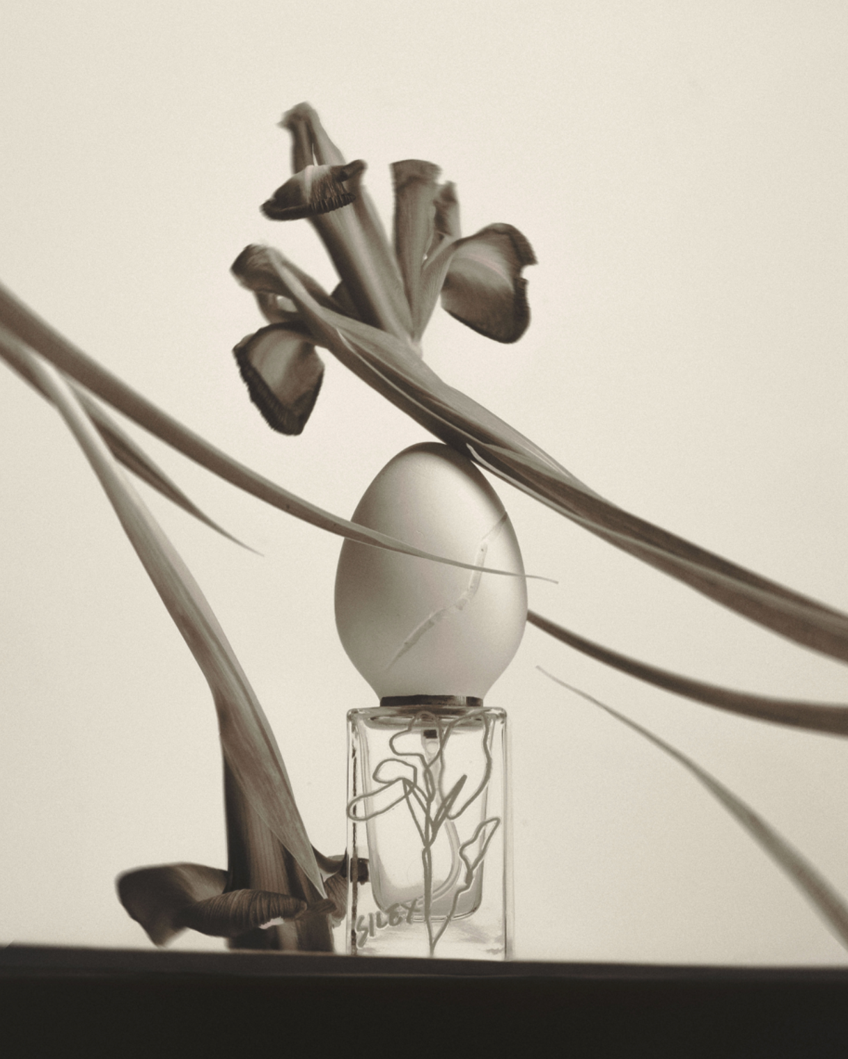 Silex eau de parfum
