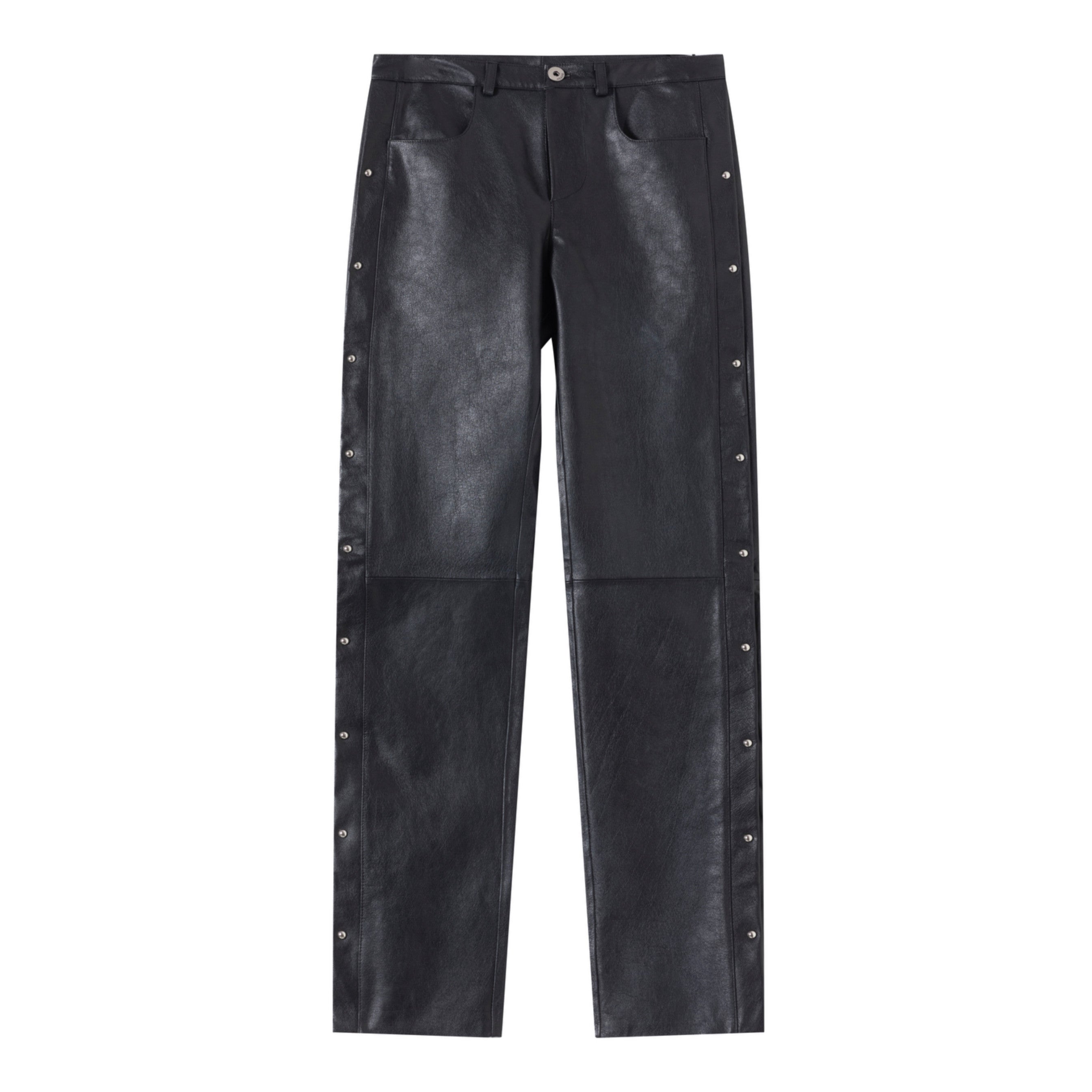 Soren studded leather pants