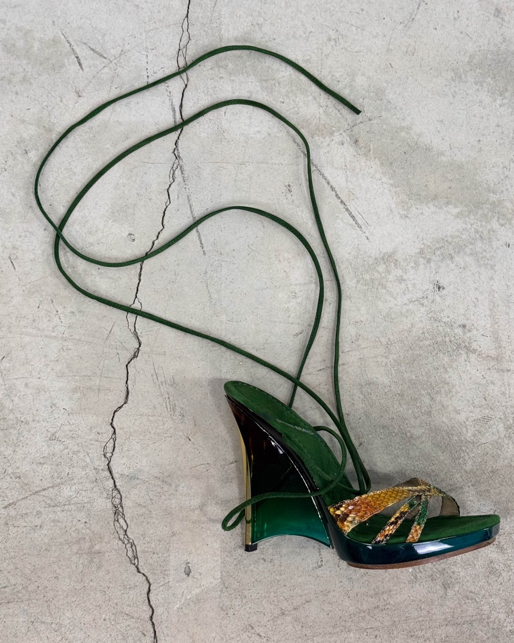 The tyla heels