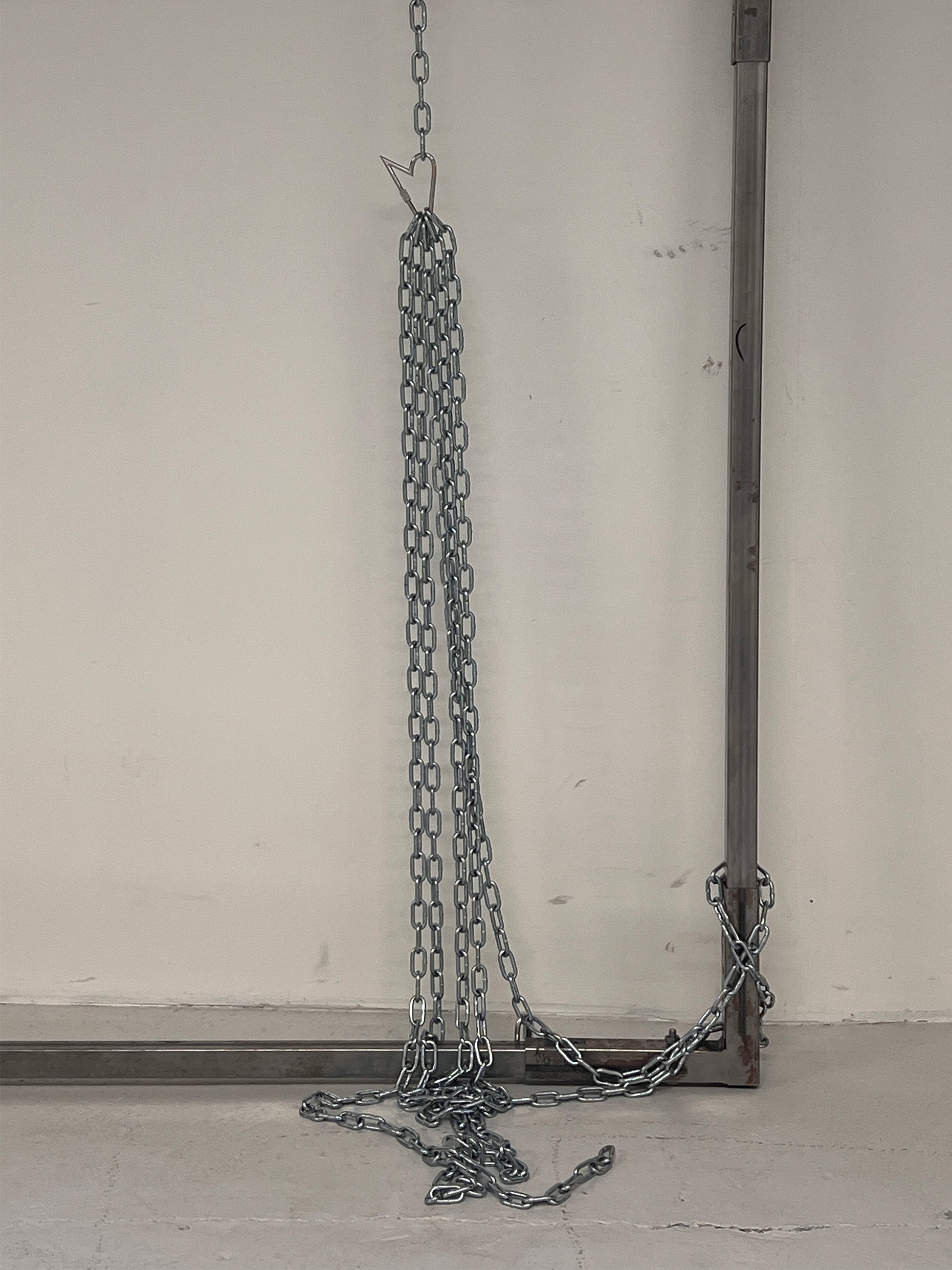 Vain carabiner