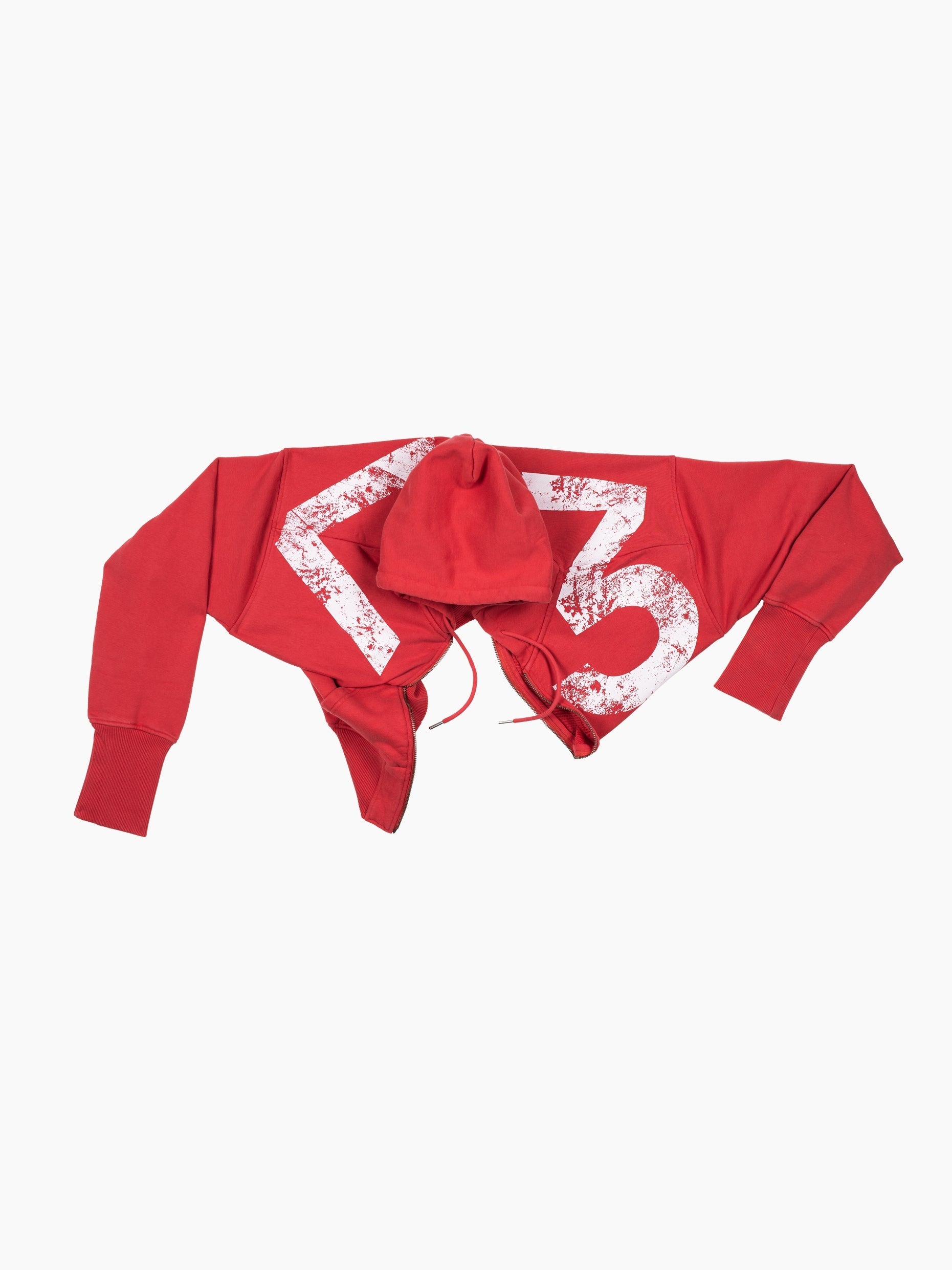 Vain rg zip hoodie